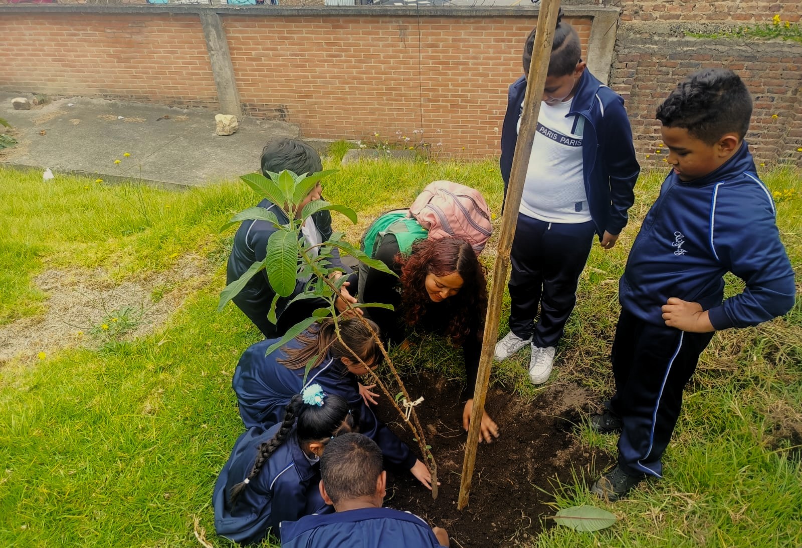 Historias del verde urbano: Los ‘pequeños’ guardianes del verde de Santa Lucía