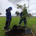El renacer verde del parque Tercer Milenio