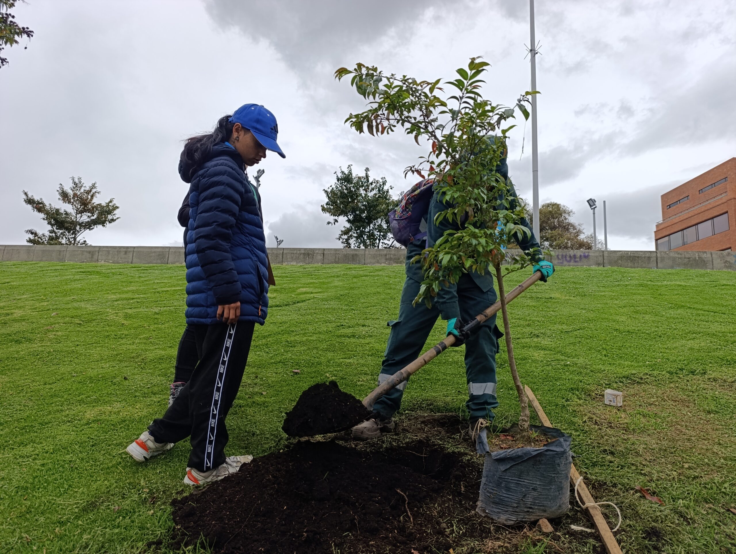 El renacer verde del parque Tercer Milenio