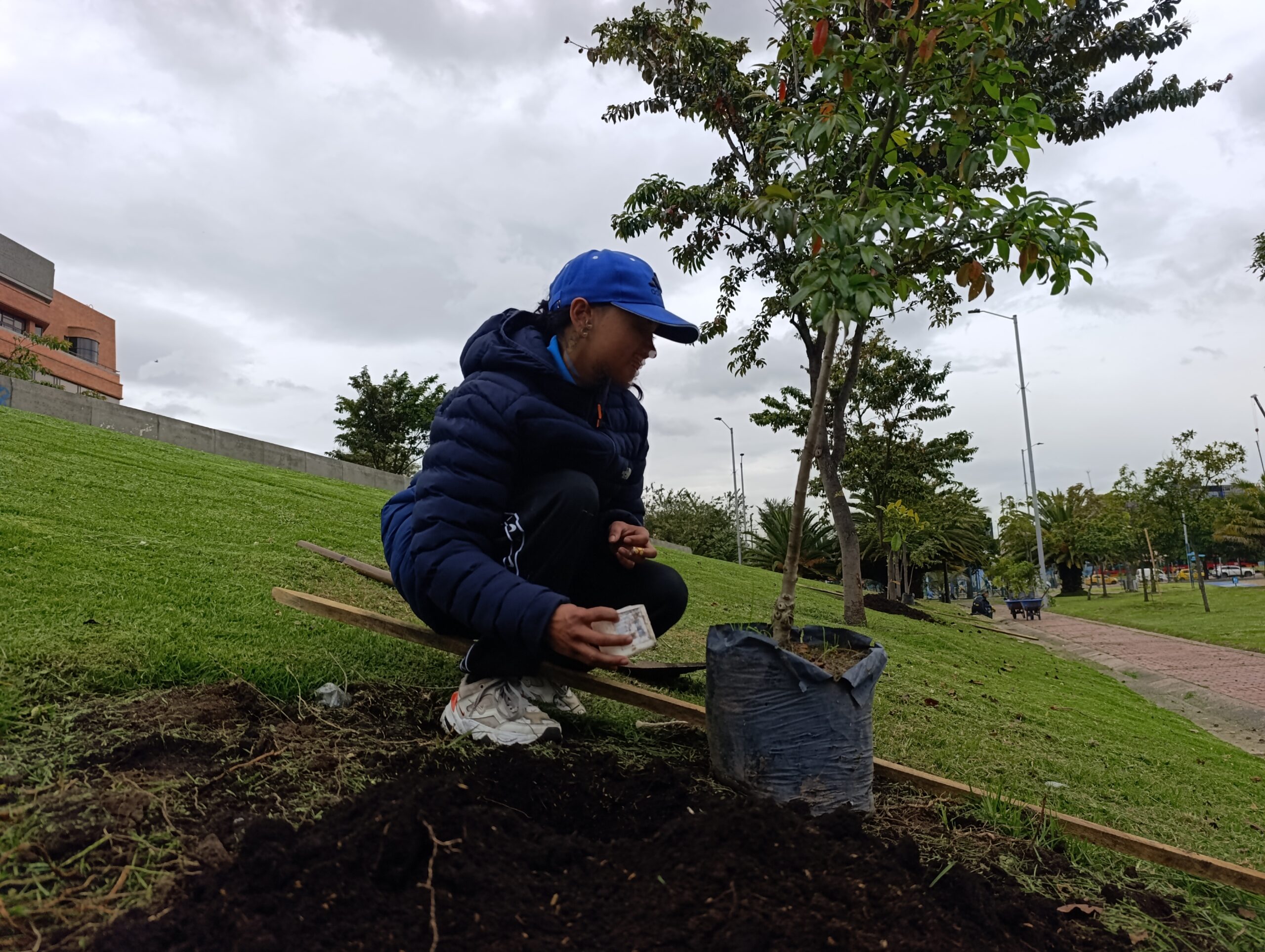 El renacer verde del parque Tercer Milenio