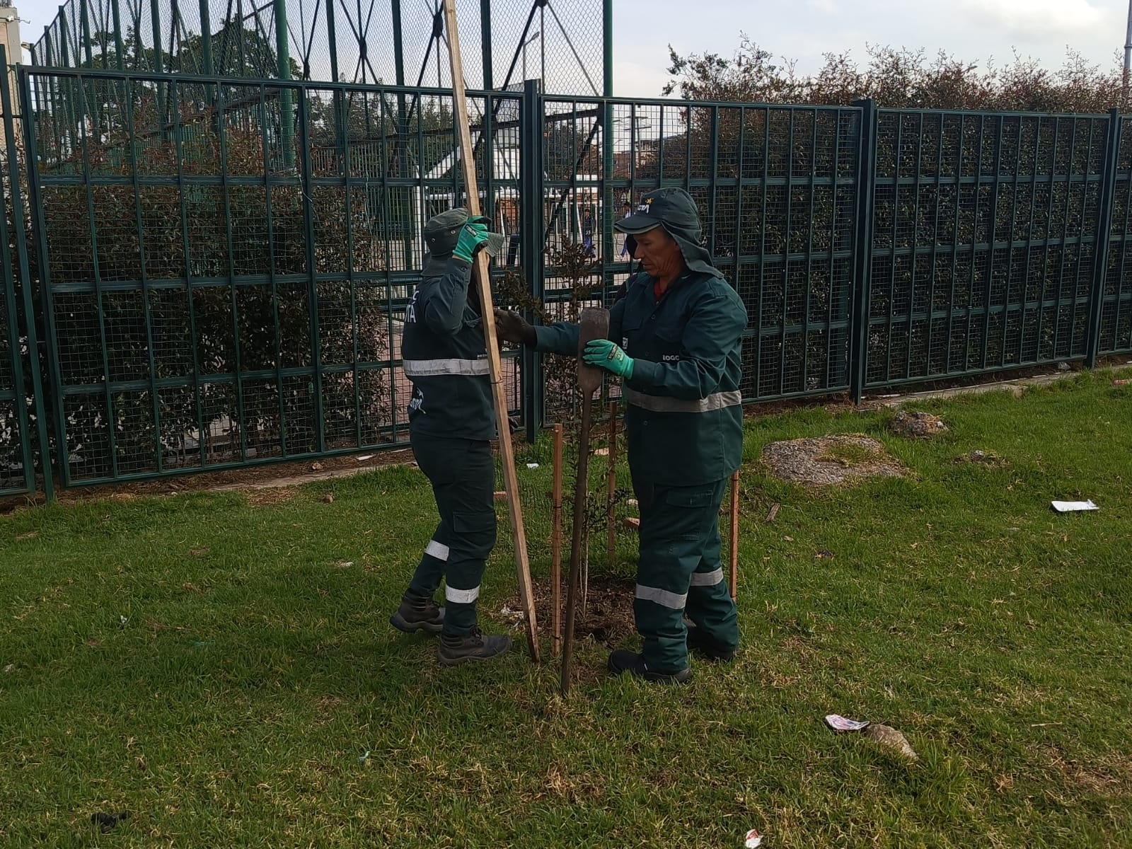 Historias del verde urbano: ¡El arbolado de Bosa sigue sumando custodios!