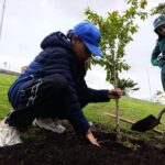 El renacer verde del parque Tercer Milenio