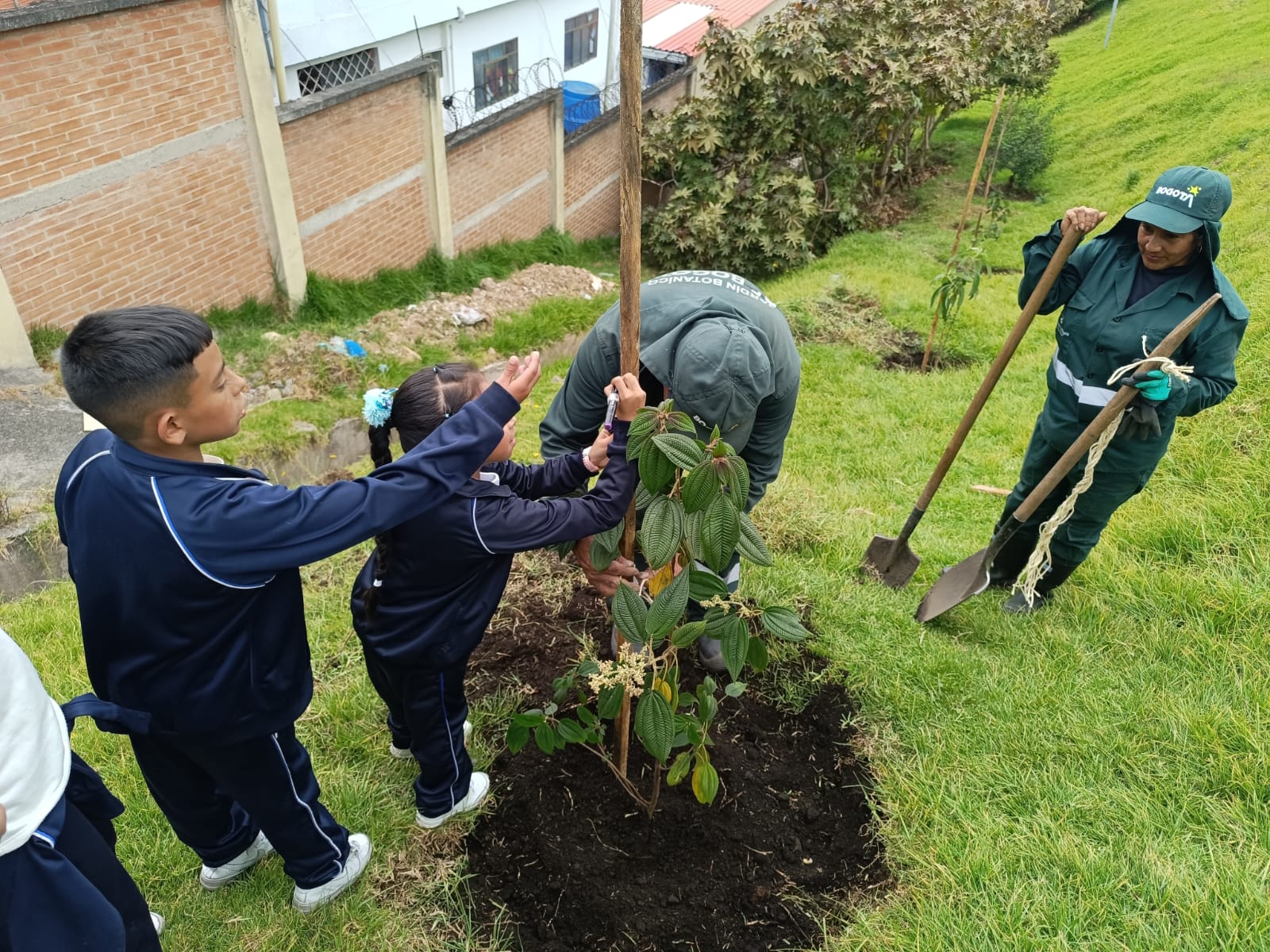 Historias del verde urbano: Los ‘pequeños’ guardianes del verde de Santa Lucía