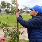 El renacer verde del parque Tercer Milenio