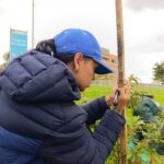 El renacer verde del parque Tercer Milenio