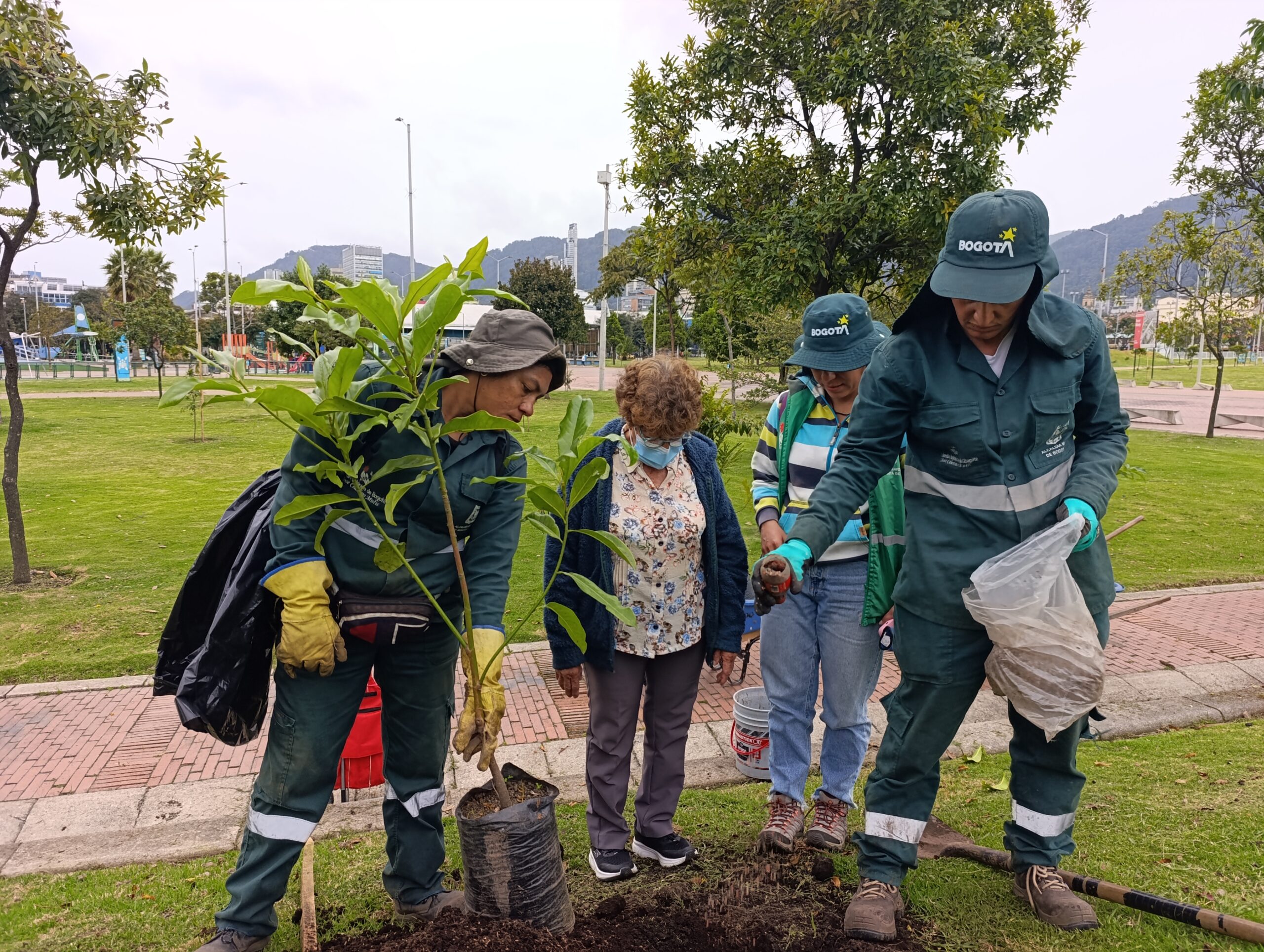 El renacer verde del parque Tercer Milenio