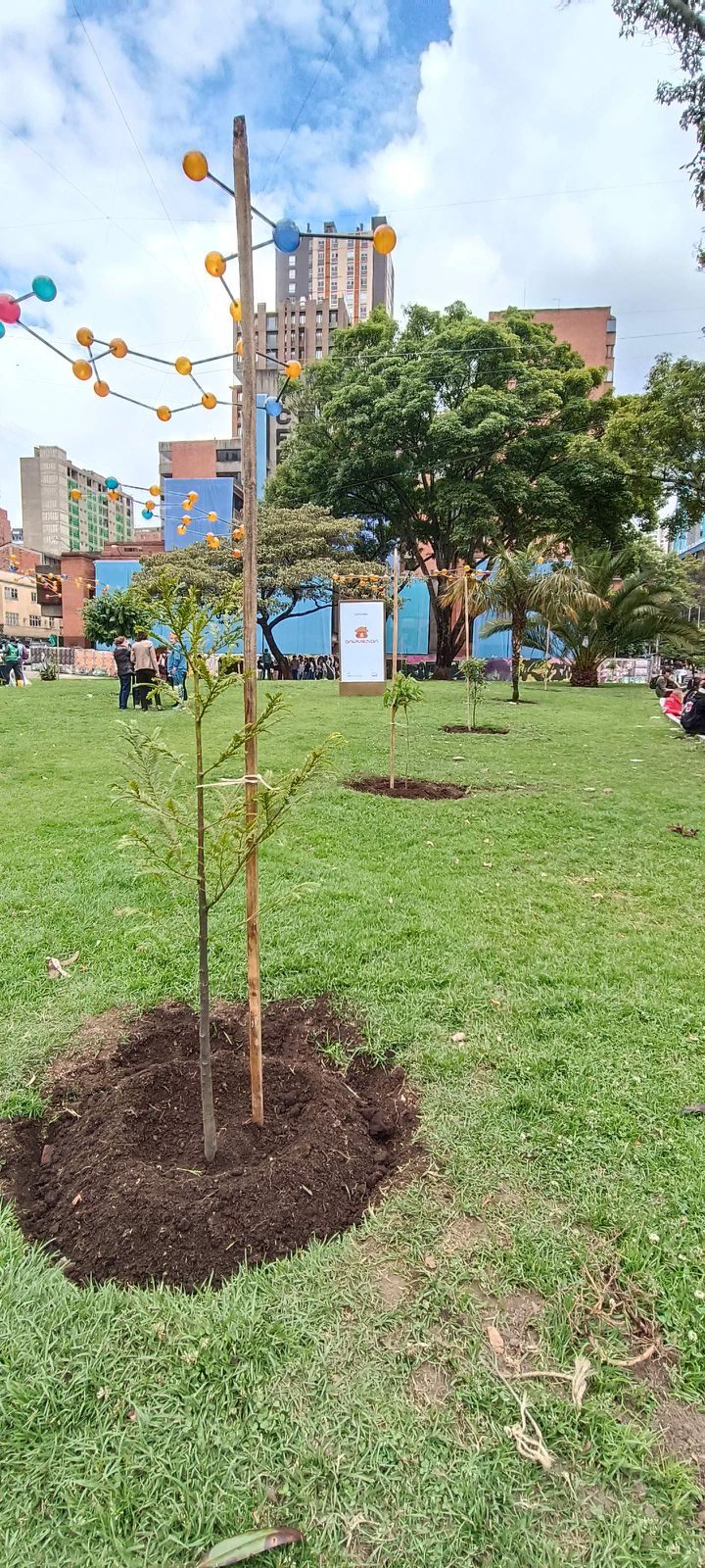 Historias del verde urbano: ¡89 nuevos árboles y arbustos en Engativá, Fontibón y Santa Fe!