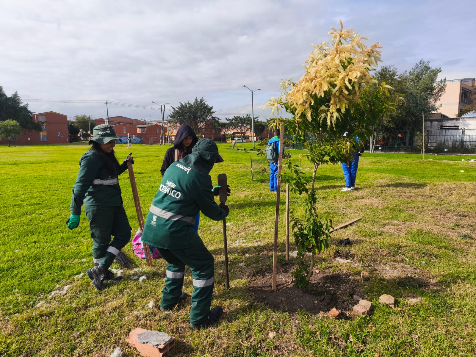 Historias del verde urbano: ¡El arbolado de Bosa sigue sumando custodios!