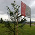 El renacer verde del parque Tercer Milenio