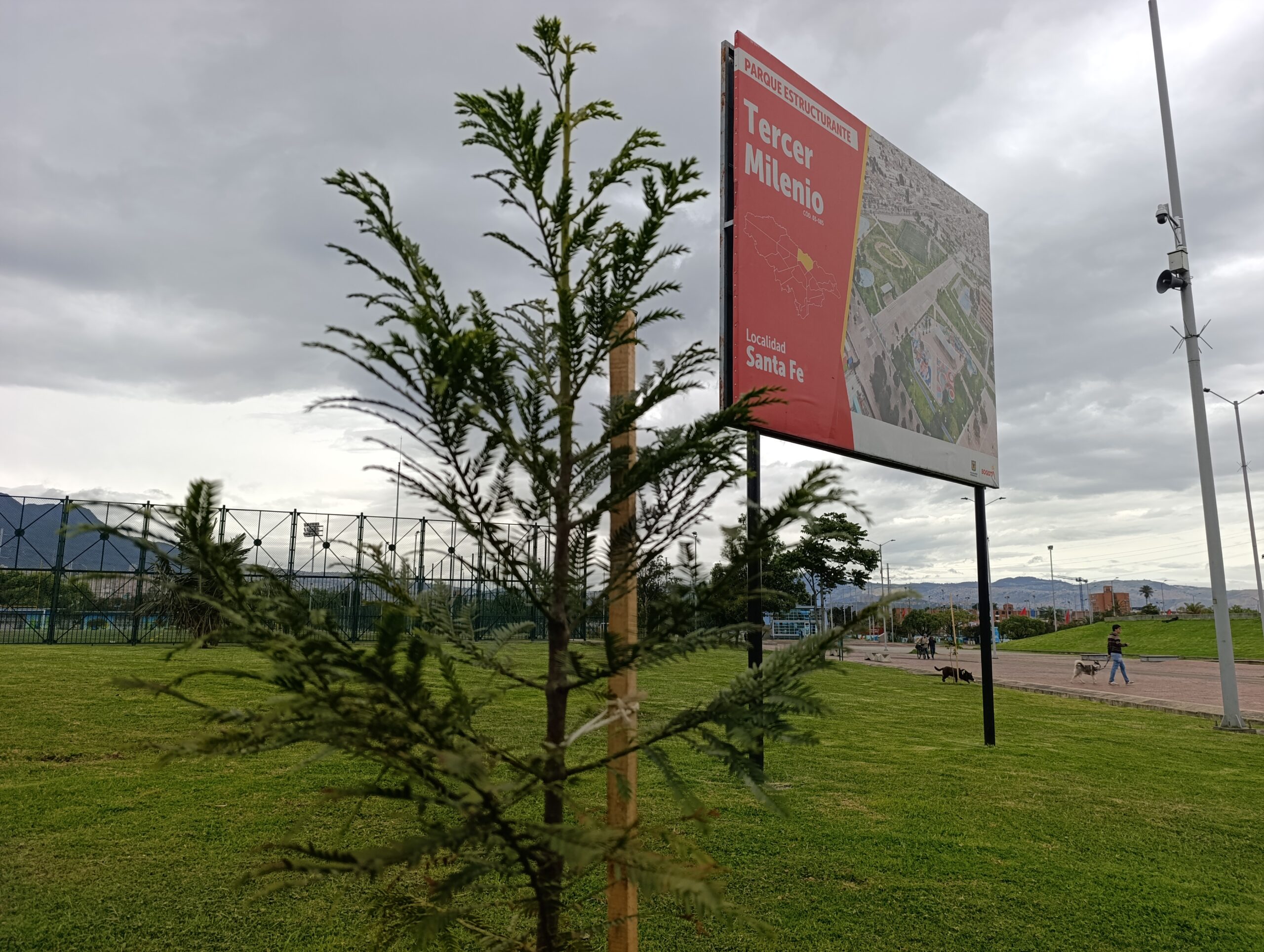 El renacer verde del parque Tercer Milenio