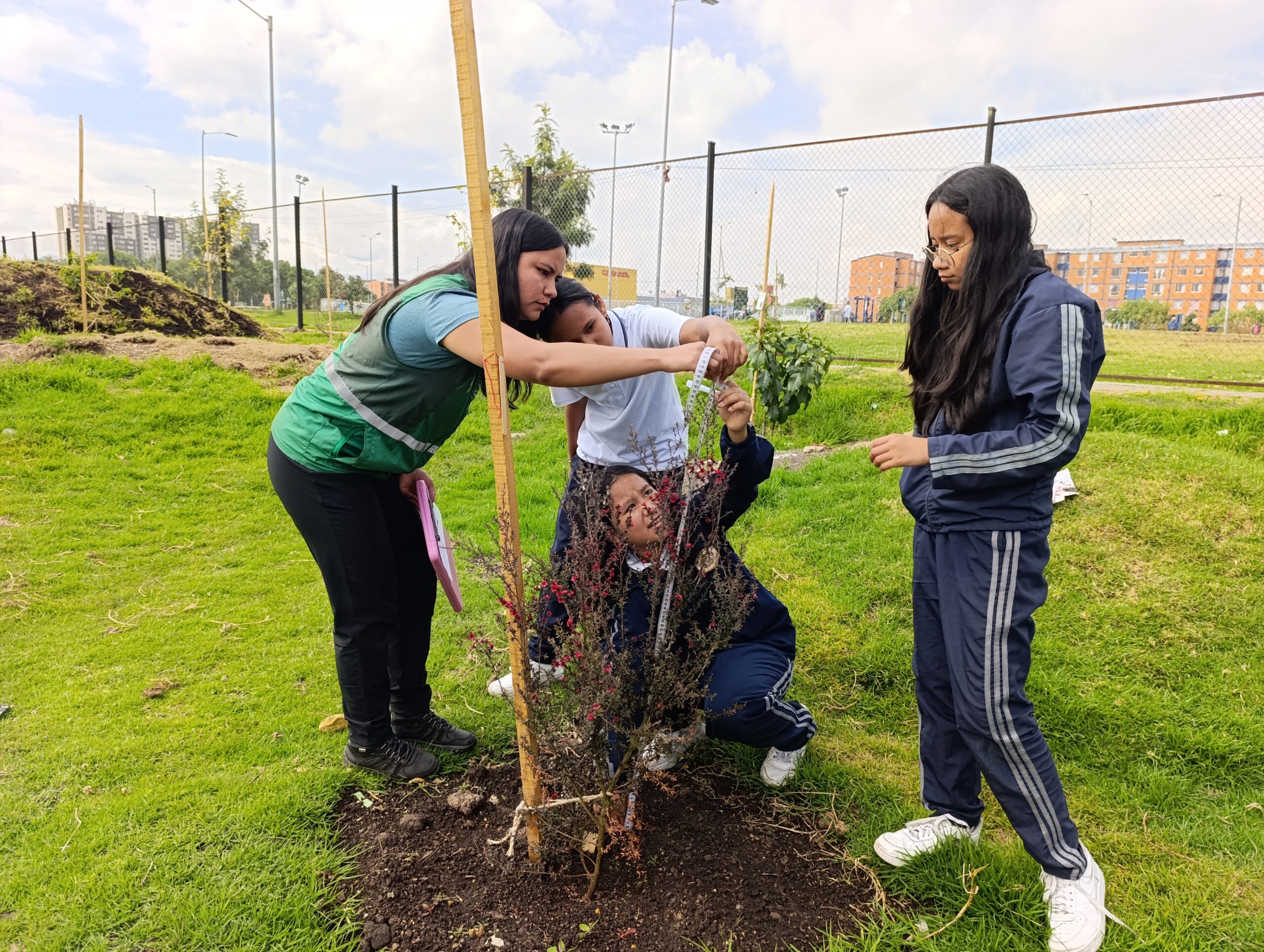 Historias del verde urbano: Ciudadela Educativa de Bosa: un colegio comprometido con el cuidado del arbolado