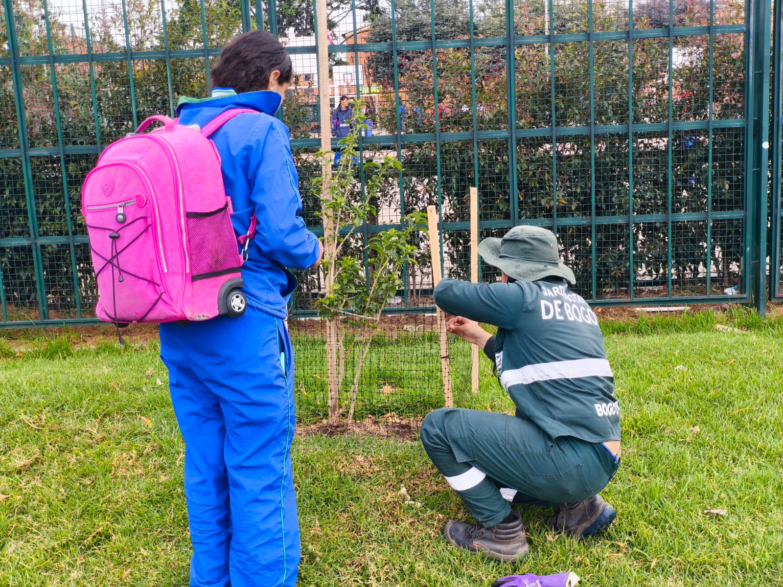 Historias del verde urbano: ¡El arbolado de Bosa sigue sumando custodios!