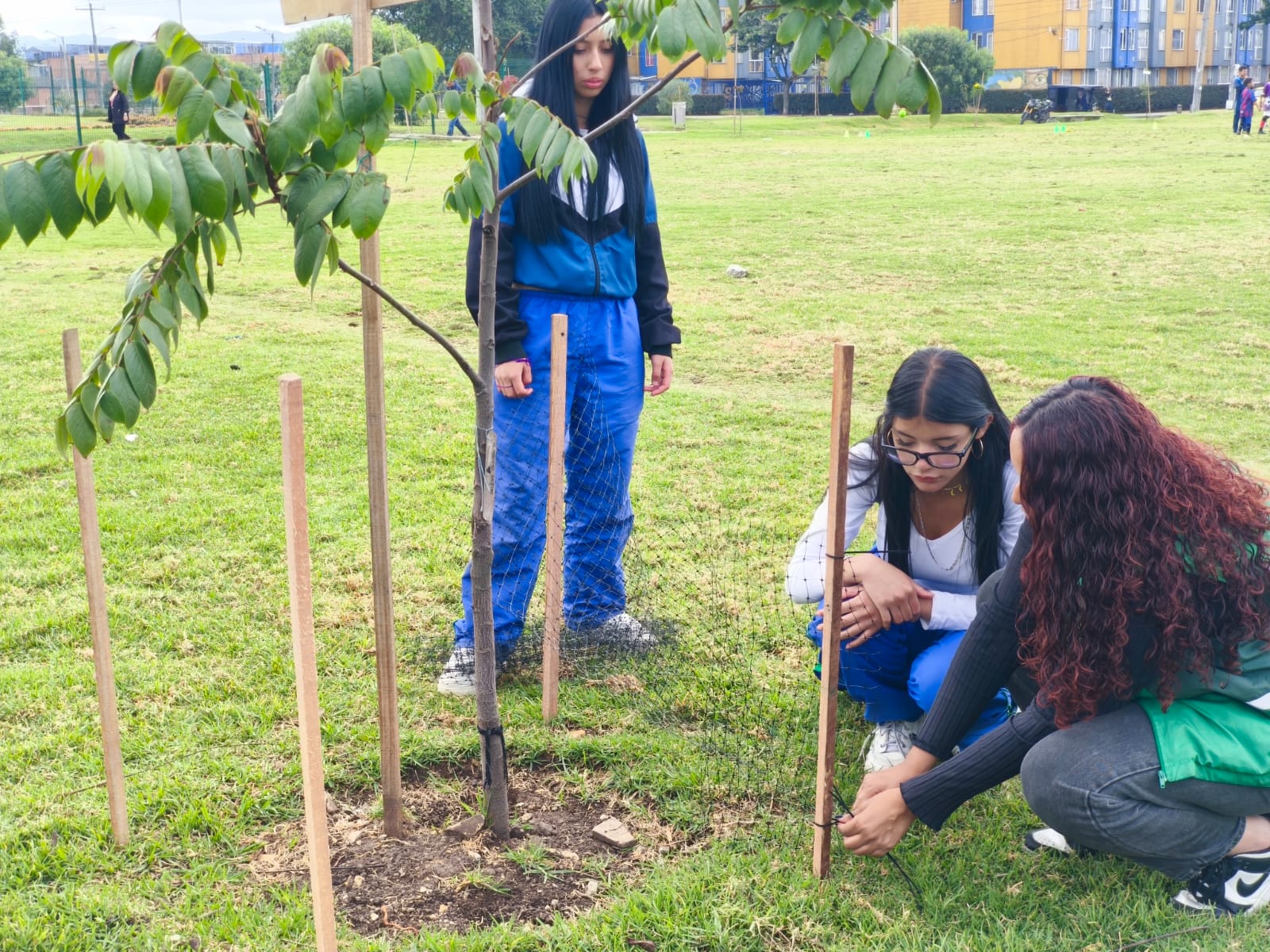 Historias del verde urbano: ¡El arbolado de Bosa sigue sumando custodios!