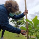 El renacer verde del parque Tercer Milenio
