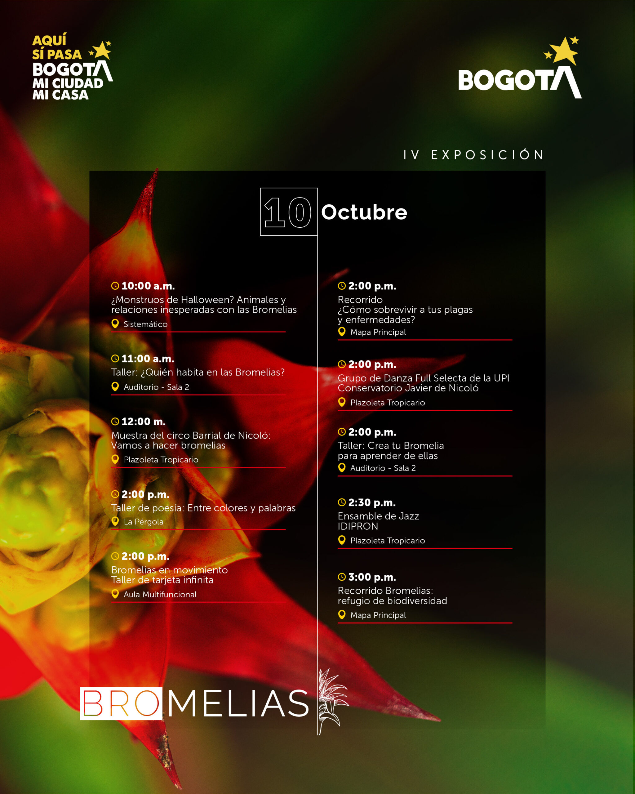 Agenda bromelias-02