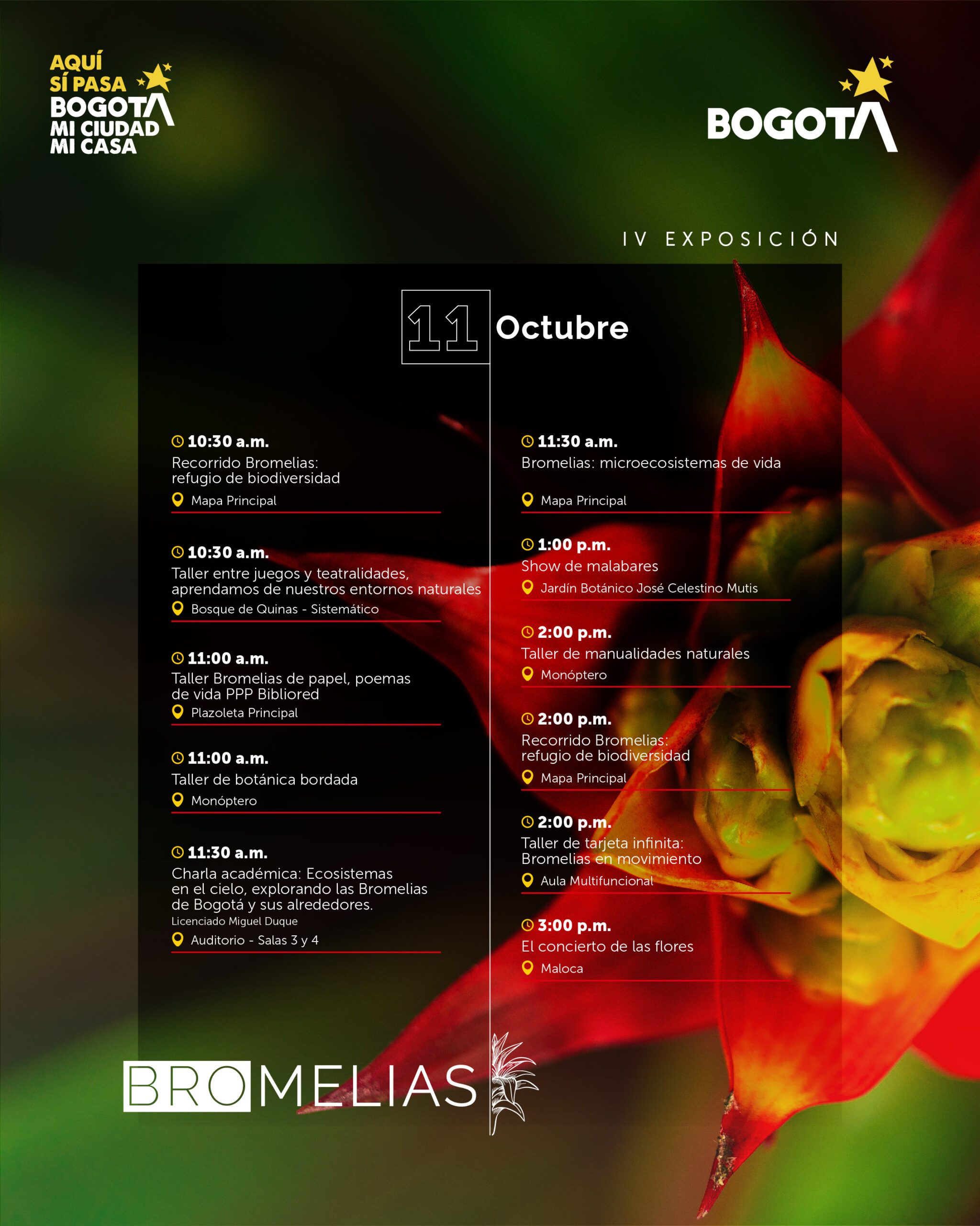 Agenda bromelias-03