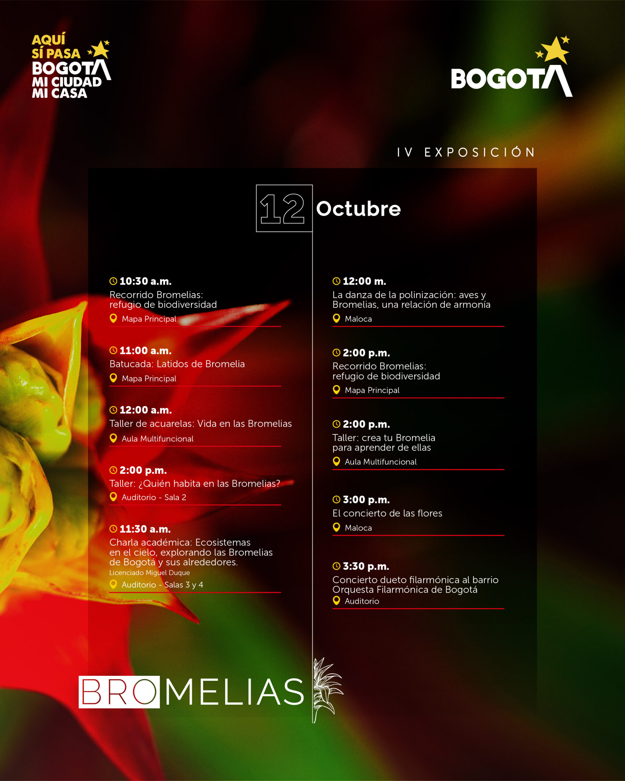 Agenda bromelias-04