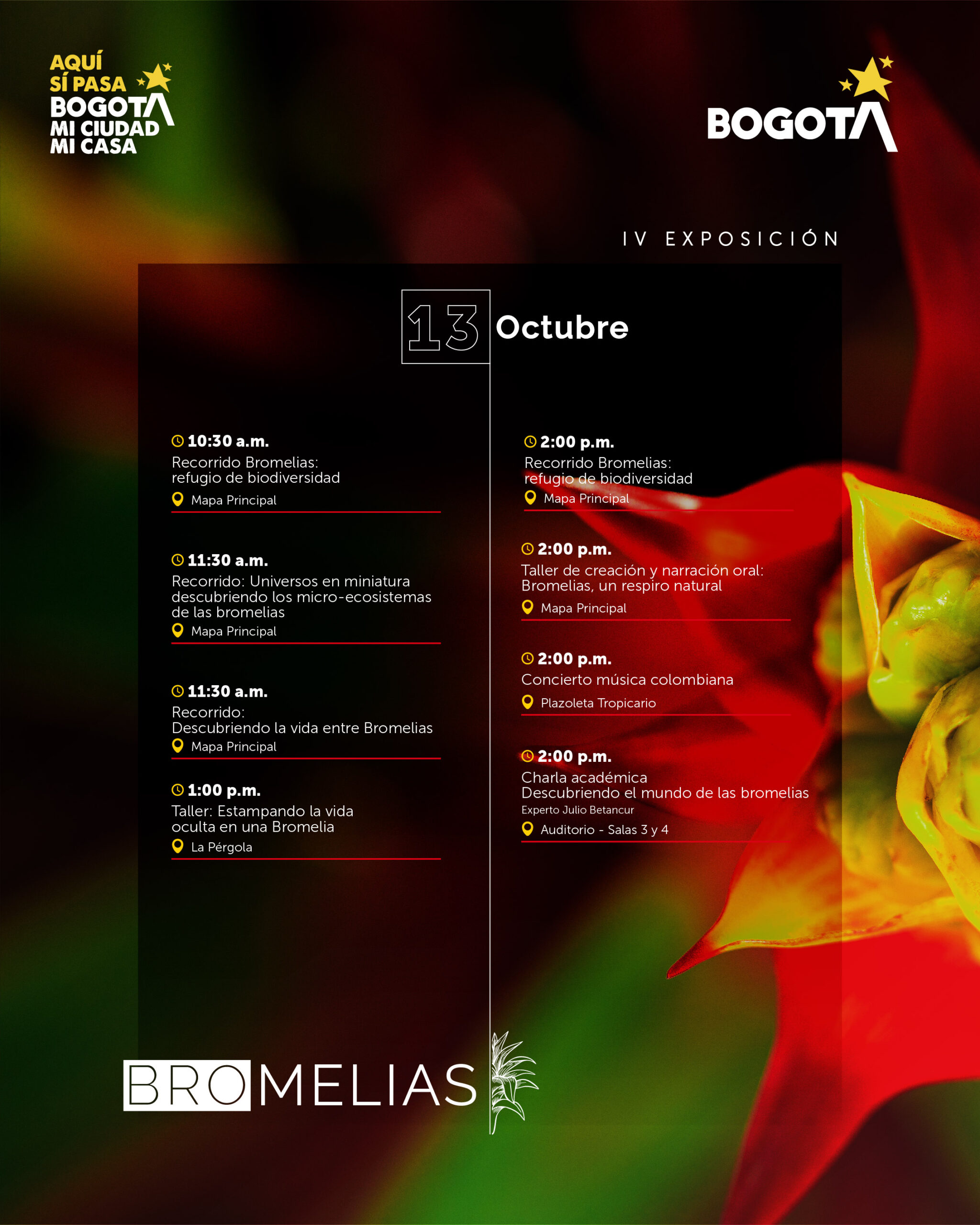 Agenda bromelias-05