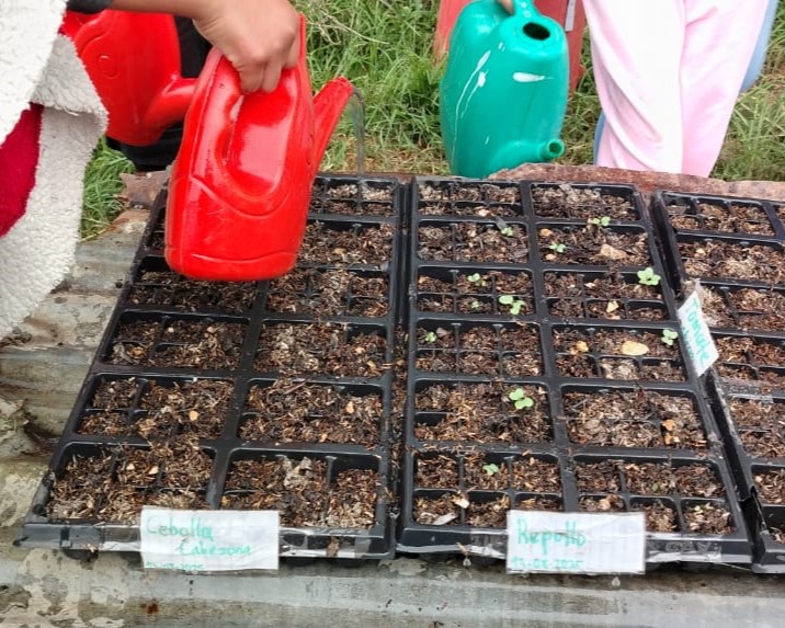 Tejiendo territorios: Sembrar futuro en Sumapaz: el aula viva del colegio Adelina Gutiérrez