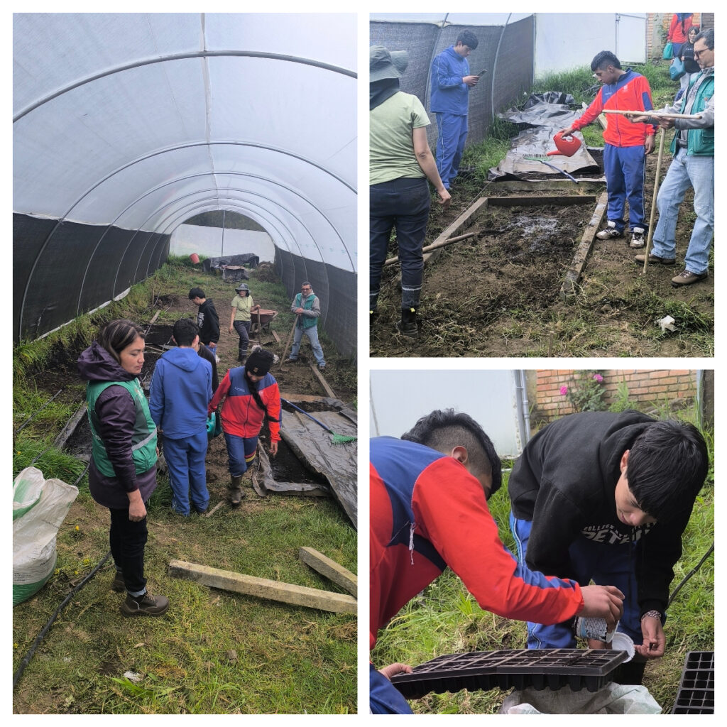 Tejiendo territorios: Sembrar futuro en Sumapaz: el aula viva del colegio Adelina Gutiérrez