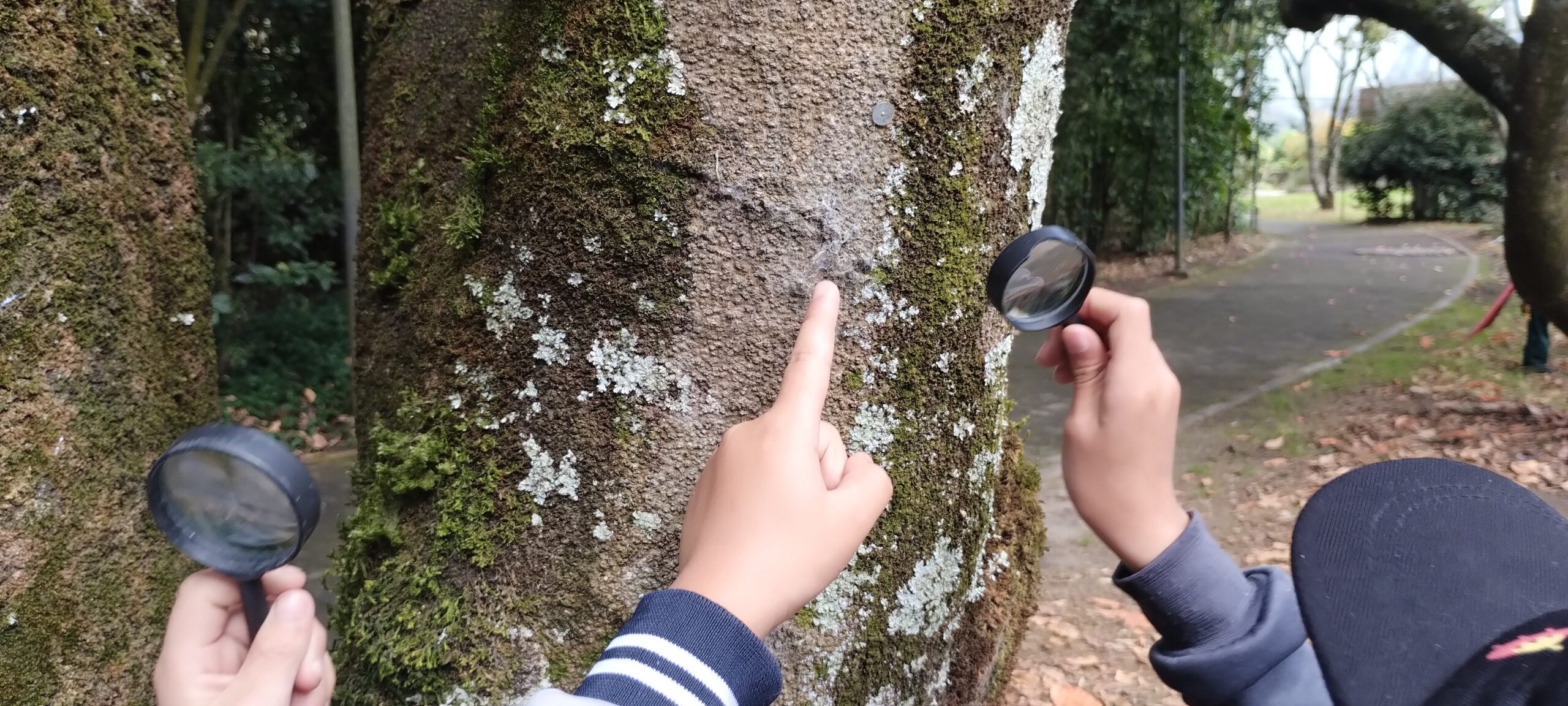 Tejiendo territorios : No sabemos aun