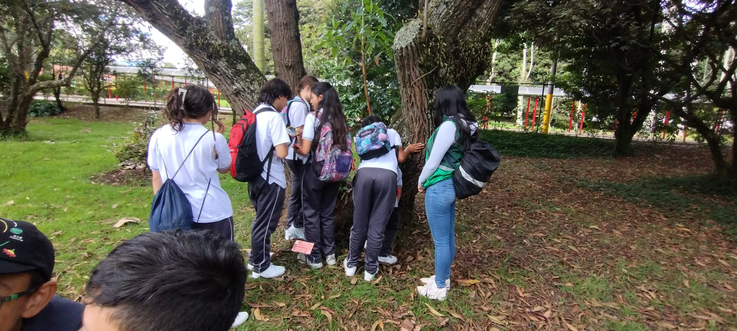 Tejiendo territorios : No sabemos aun