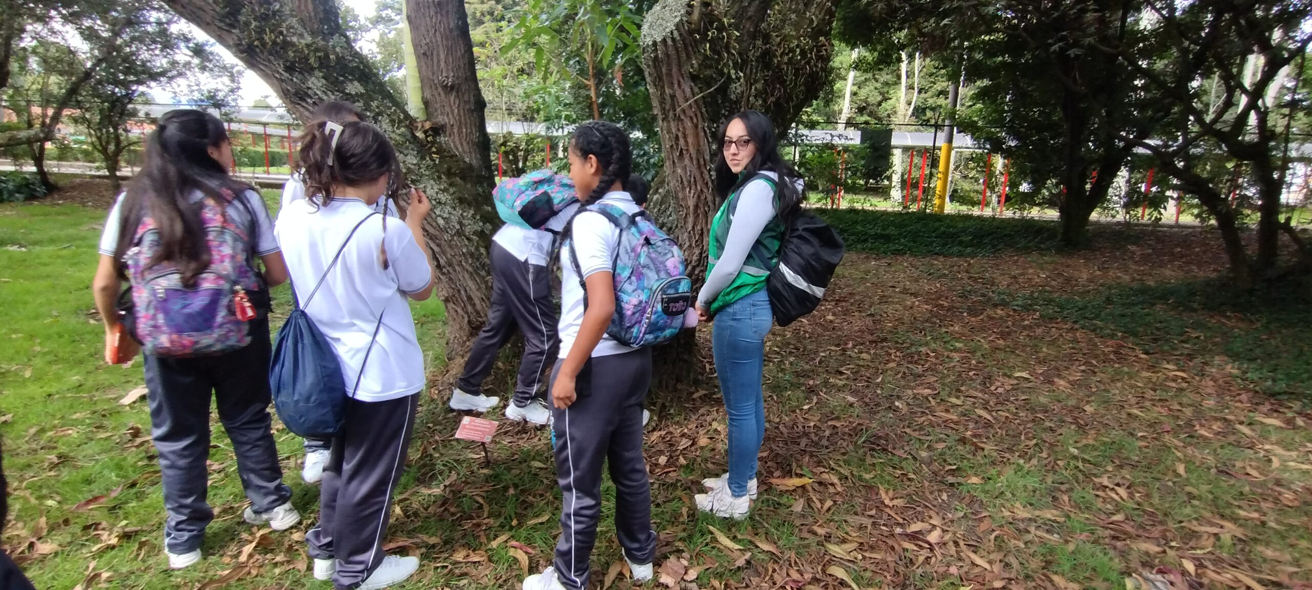 Tejiendo territorios : No sabemos aun