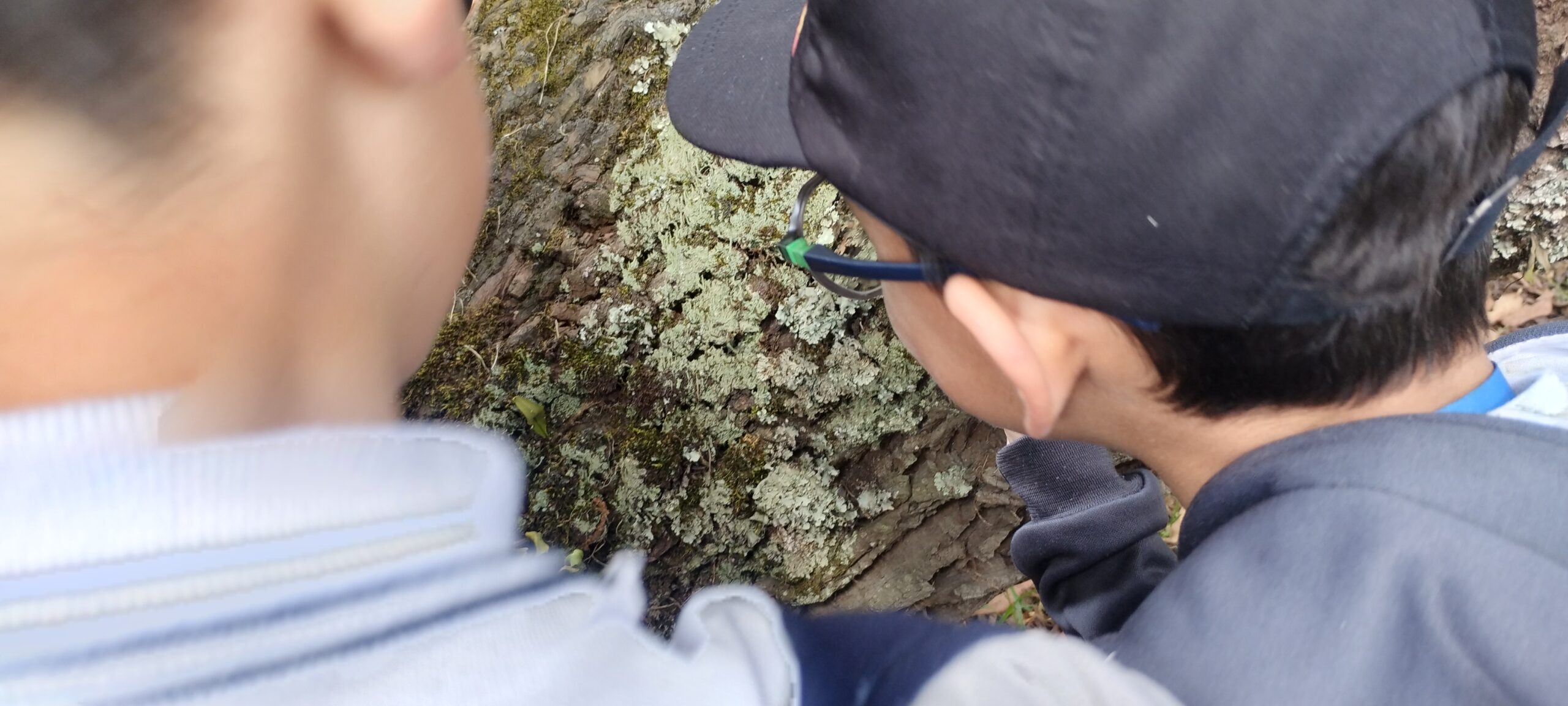 Tejiendo territorios : No sabemos aun