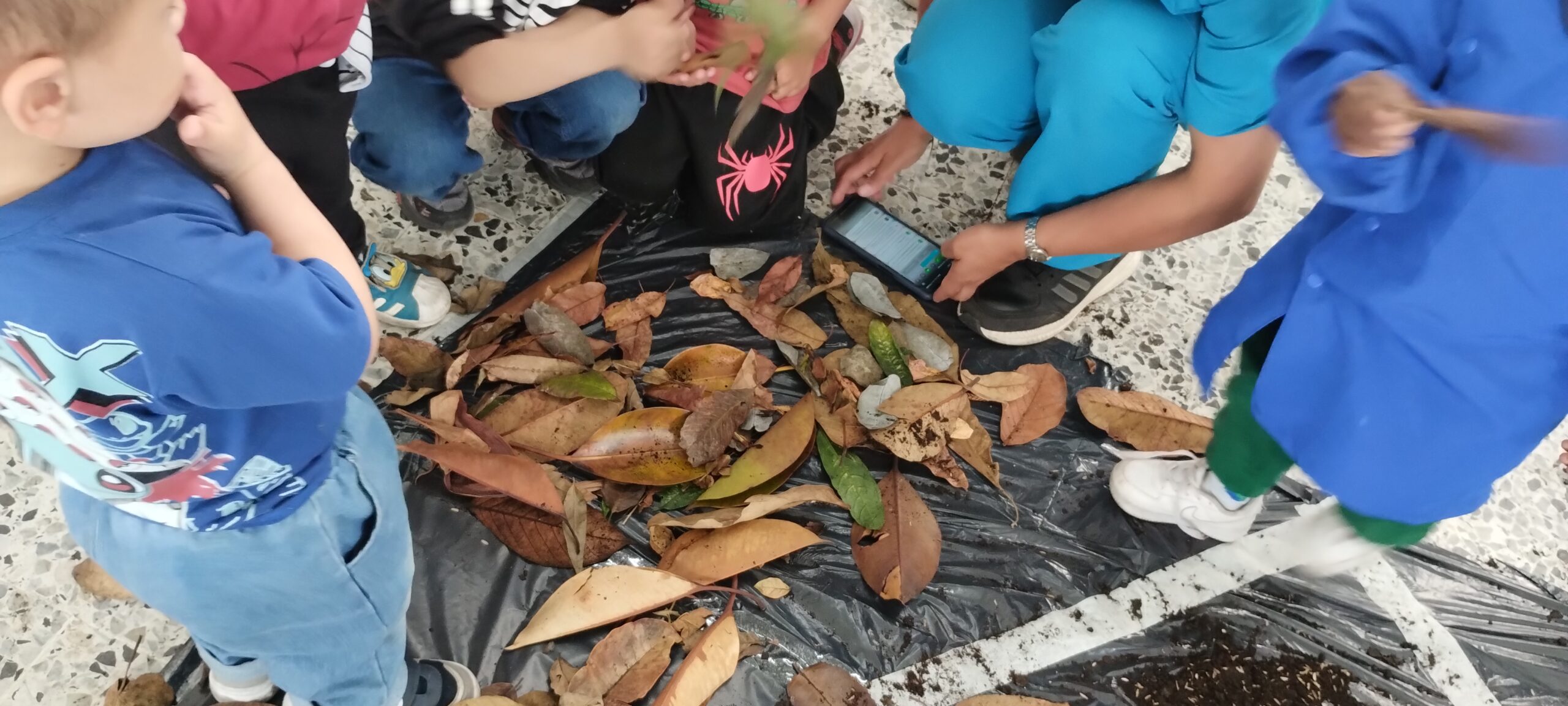 Tejiendo territorios : La diferencia entre un pétalo y una hoja