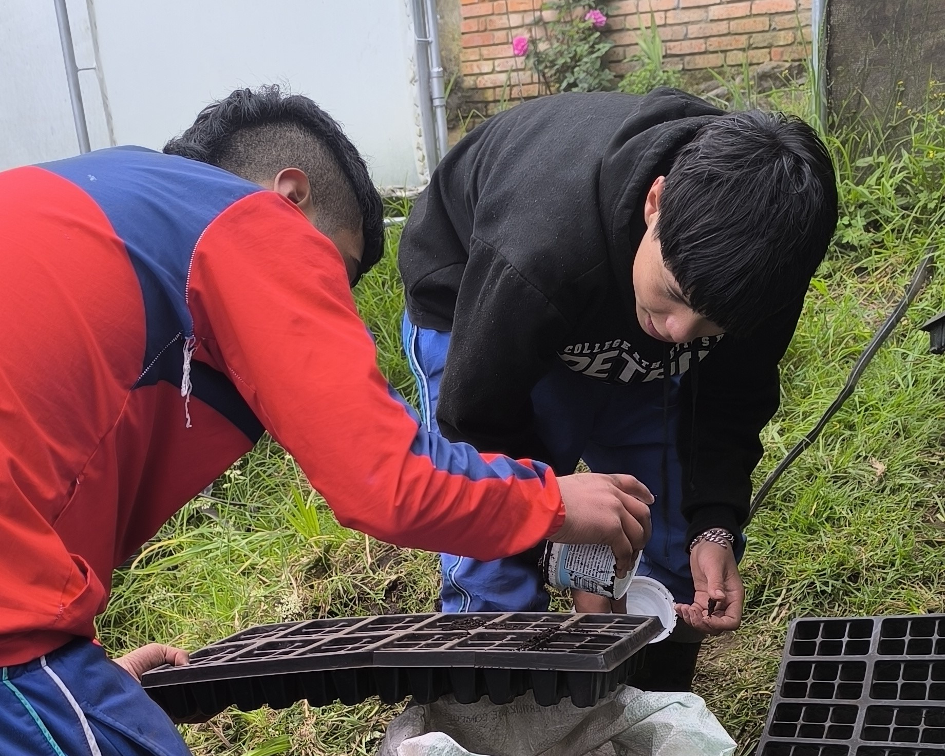 Tejiendo territorios: Sembrar futuro en Sumapaz: el aula viva del colegio Adelina Gutiérrez