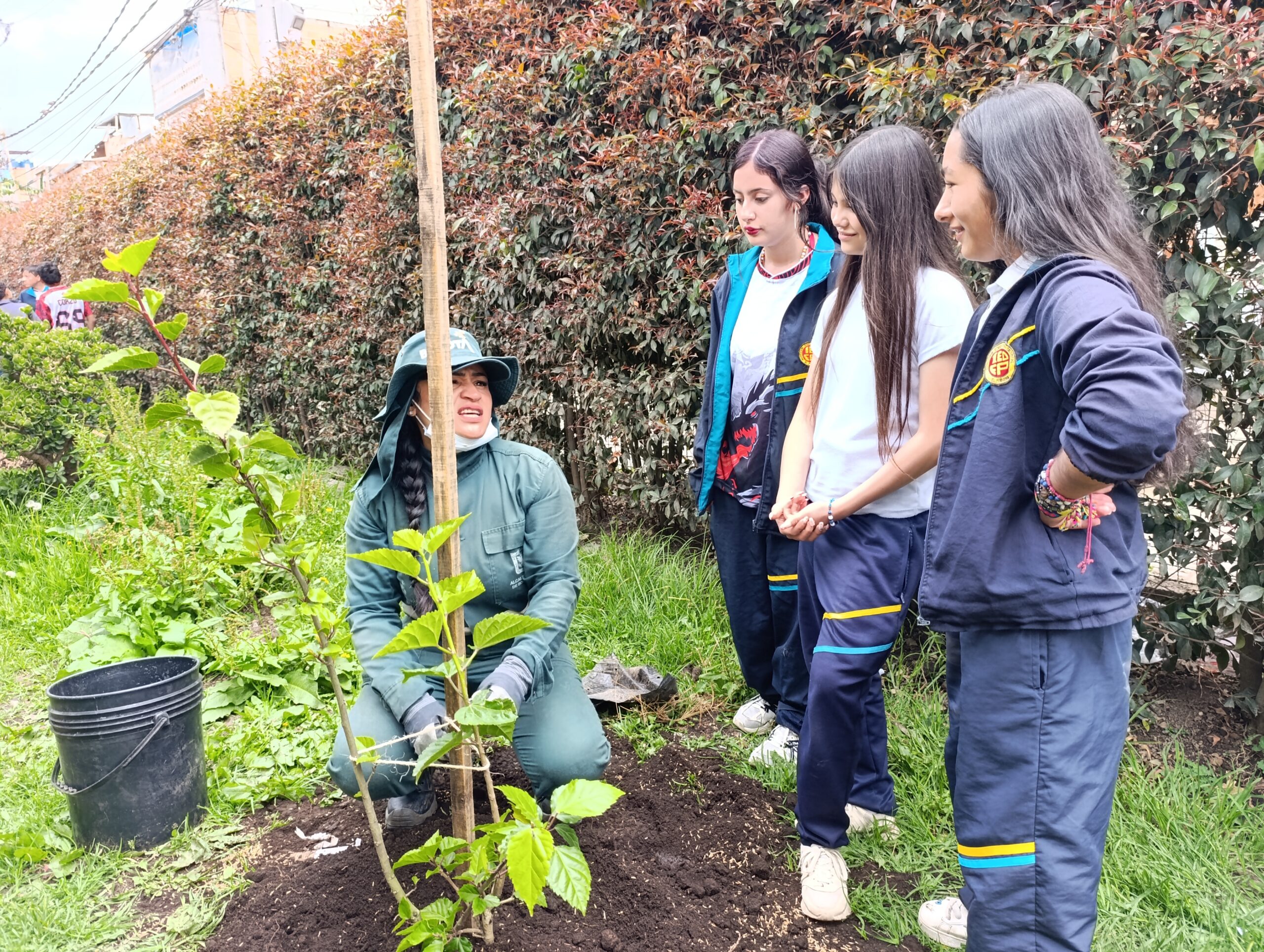 Historias del verde urbano: Uno de los colegios más antiguos de Bosa se renaturaliza con especies nativas Historias del verde urbano: Uno de los colegios más antiguos de Bosa se renaturaliza con especies nativas