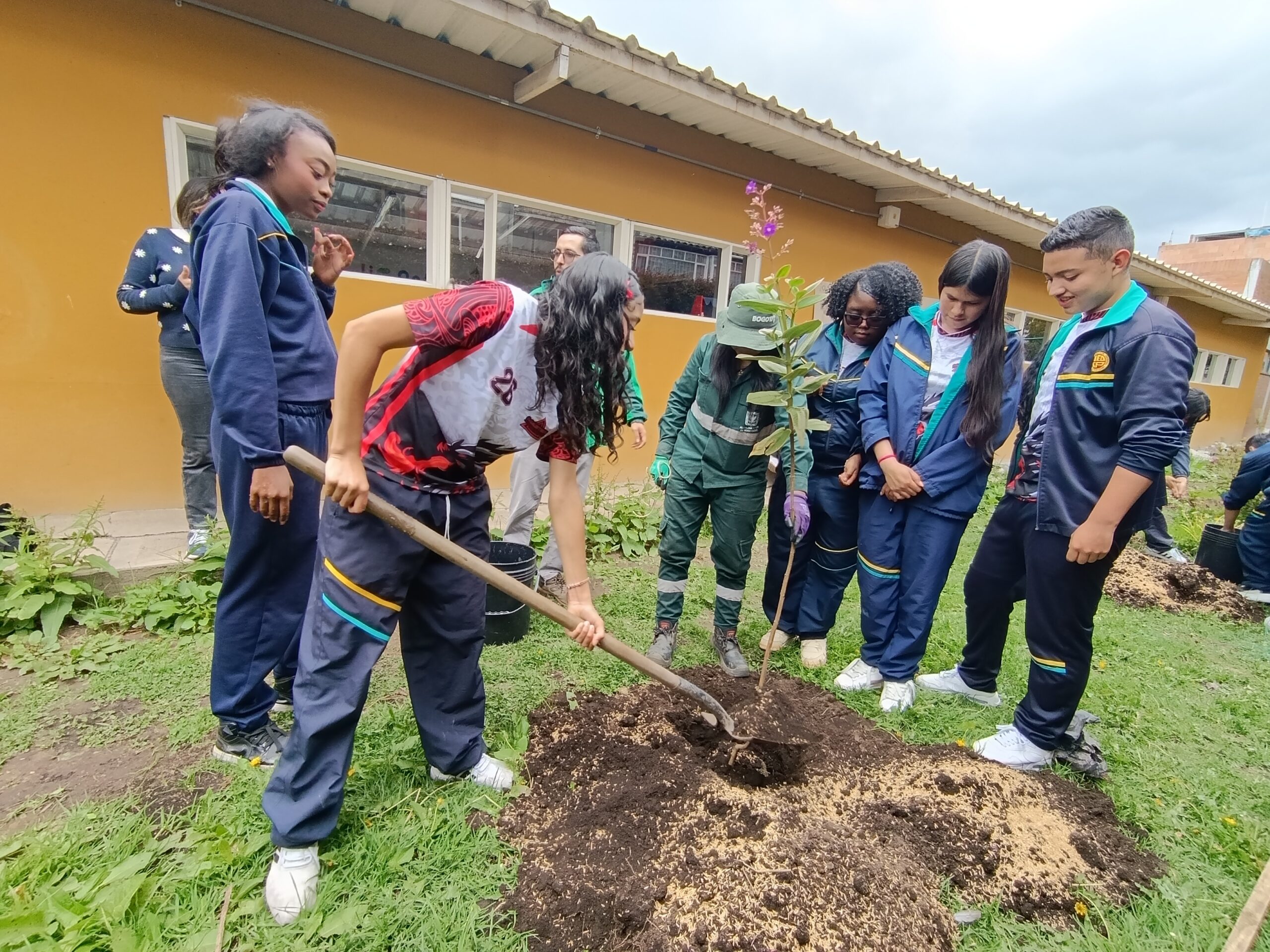Historias del verde urbano: Uno de los colegios más antiguos de Bosa se renaturaliza con especies nativas Historias del verde urbano: Uno de los colegios más antiguos de Bosa se renaturaliza con especies nativas