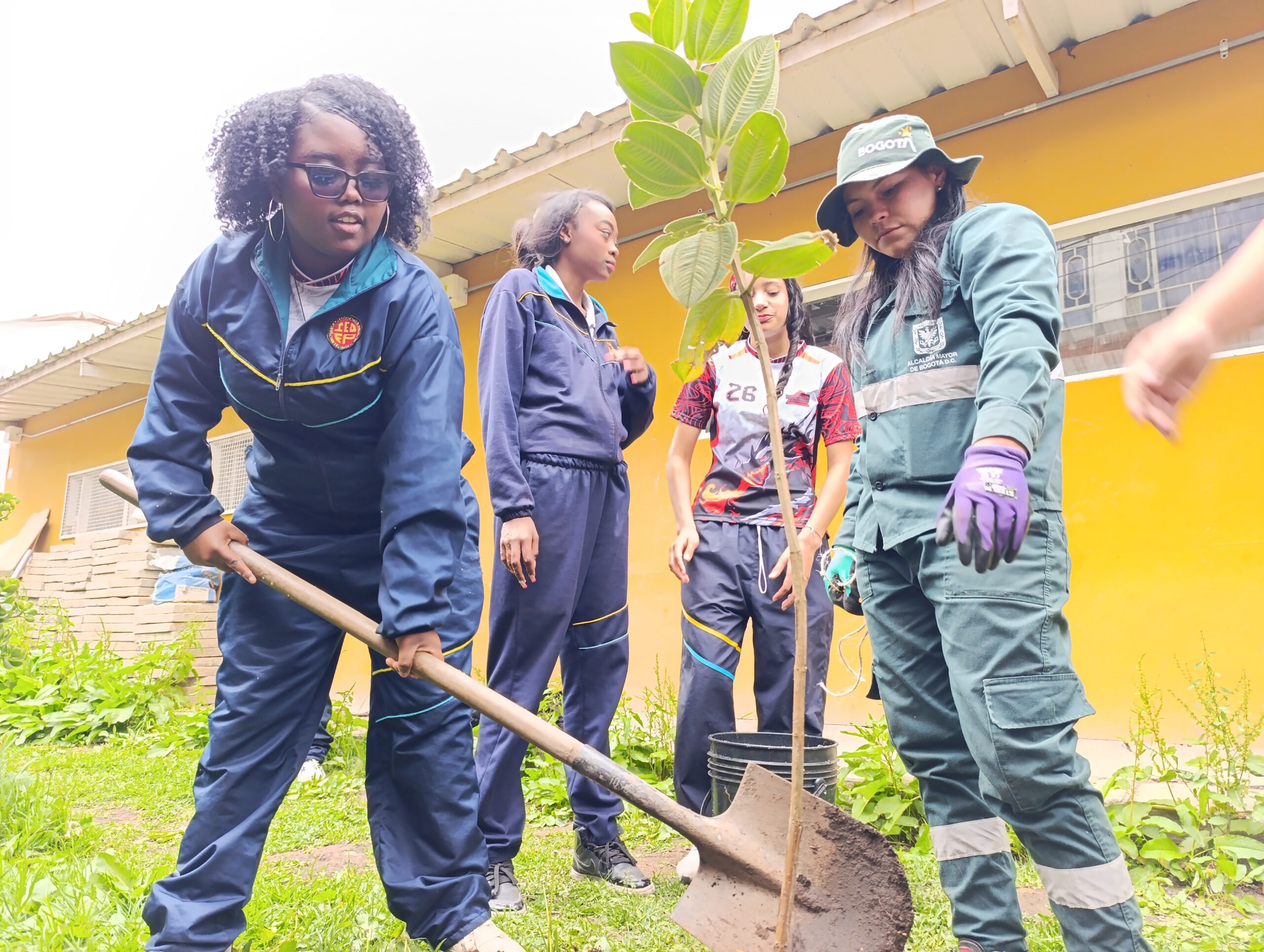 Historias del verde urbano: Uno de los colegios más antiguos de Bosa se renaturaliza con especies nativas Historias del verde urbano: Uno de los colegios más antiguos de Bosa se renaturaliza con especies nativas
