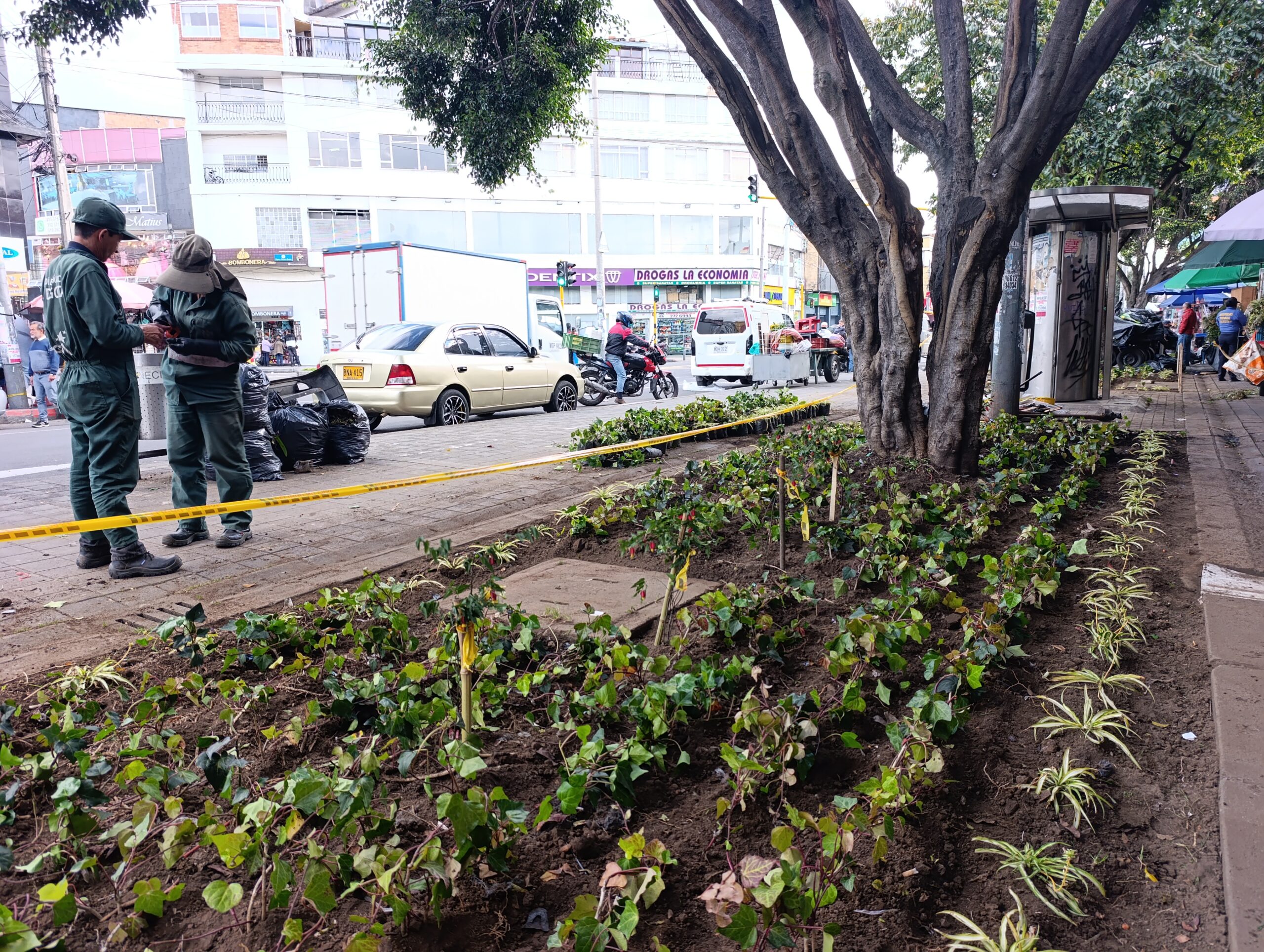 Historias del verde urbano: El renacer de los jardines de la plaza de mercado del Restrepo