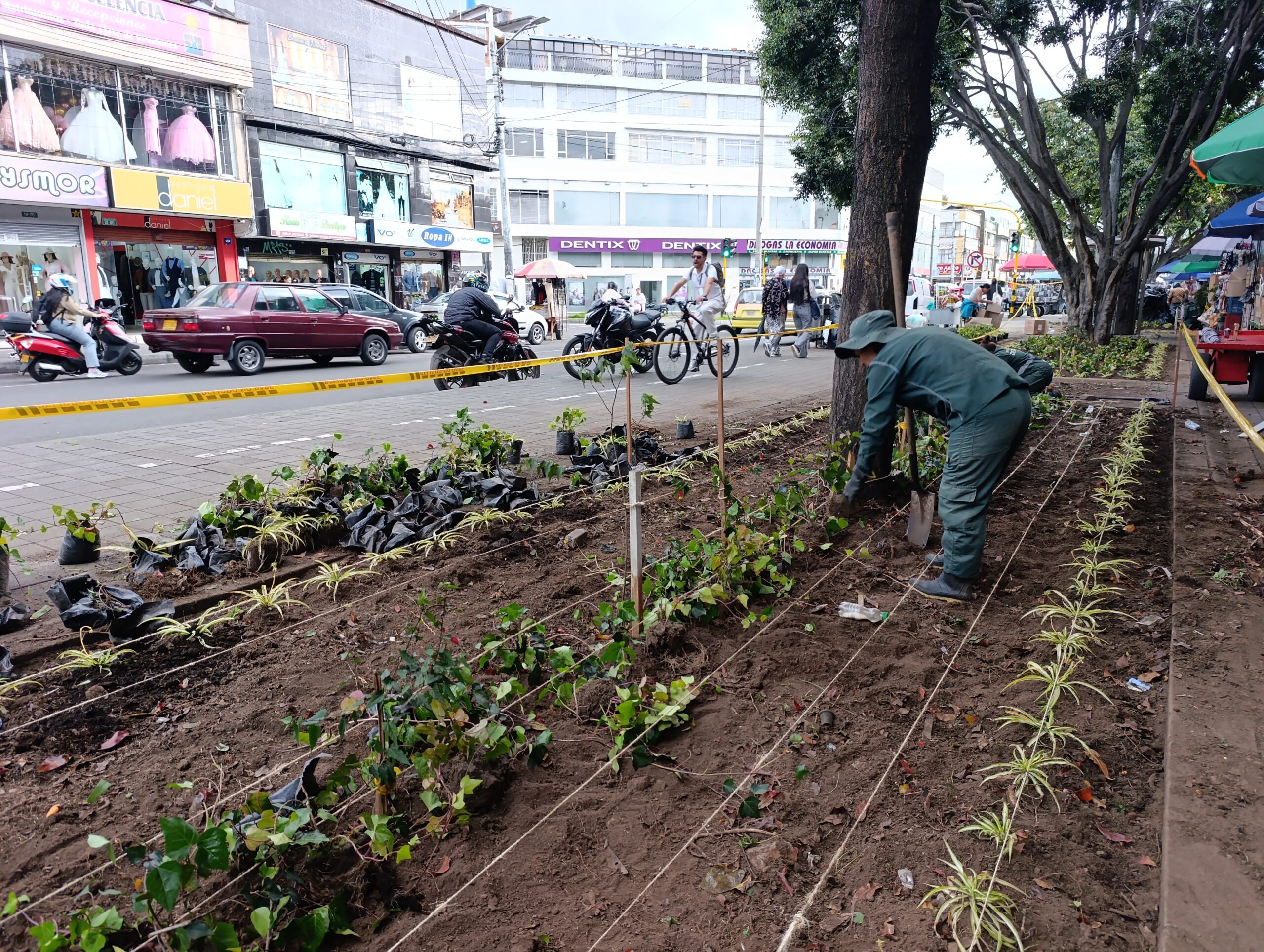 Historias del verde urbano: El renacer de los jardines de la plaza de mercado del Restrepo