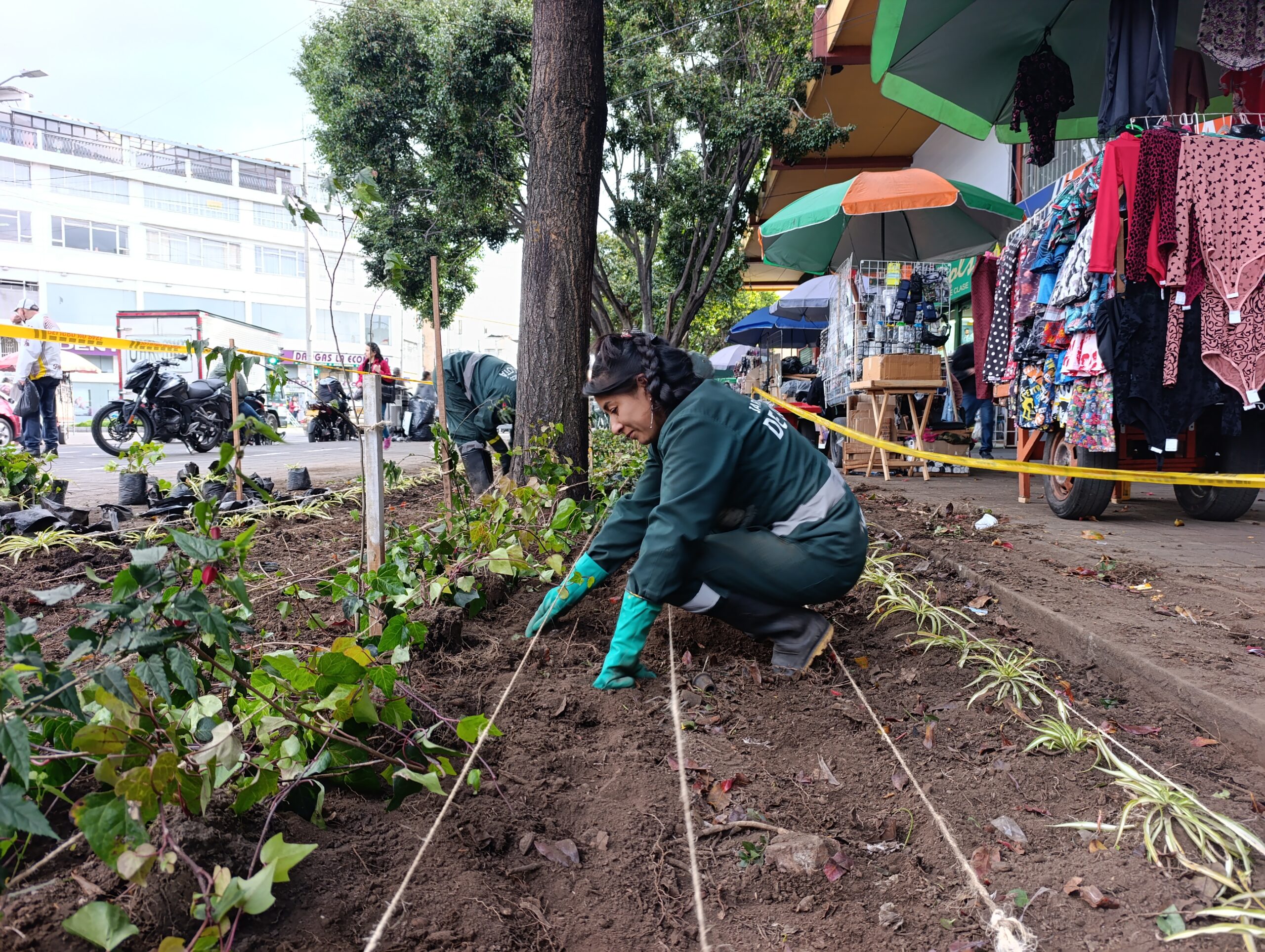Historias del verde urbano: El renacer de los jardines de la plaza de mercado del Restrepo