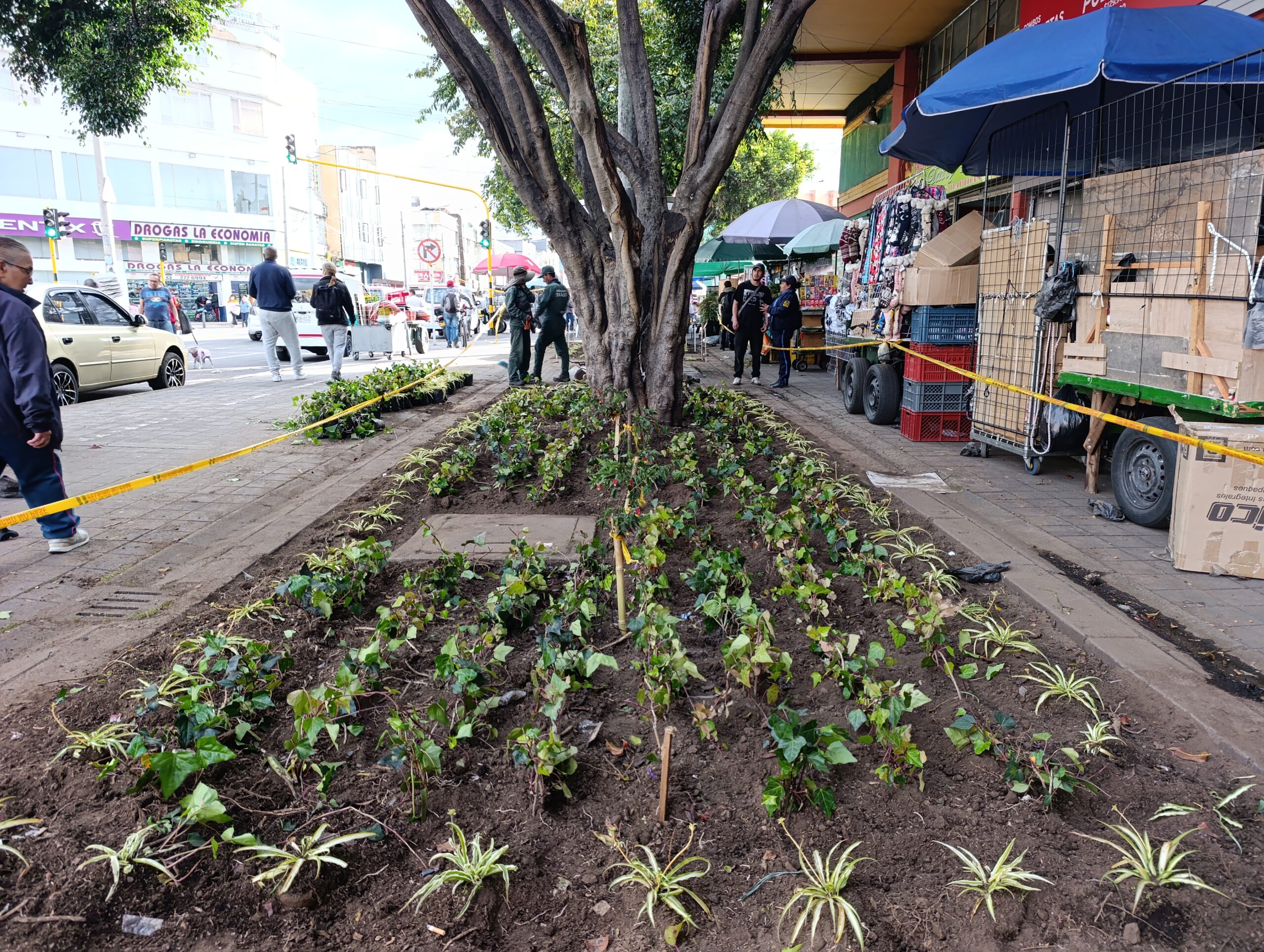 Historias del verde urbano: El renacer de los jardines de la plaza de mercado del Restrepo