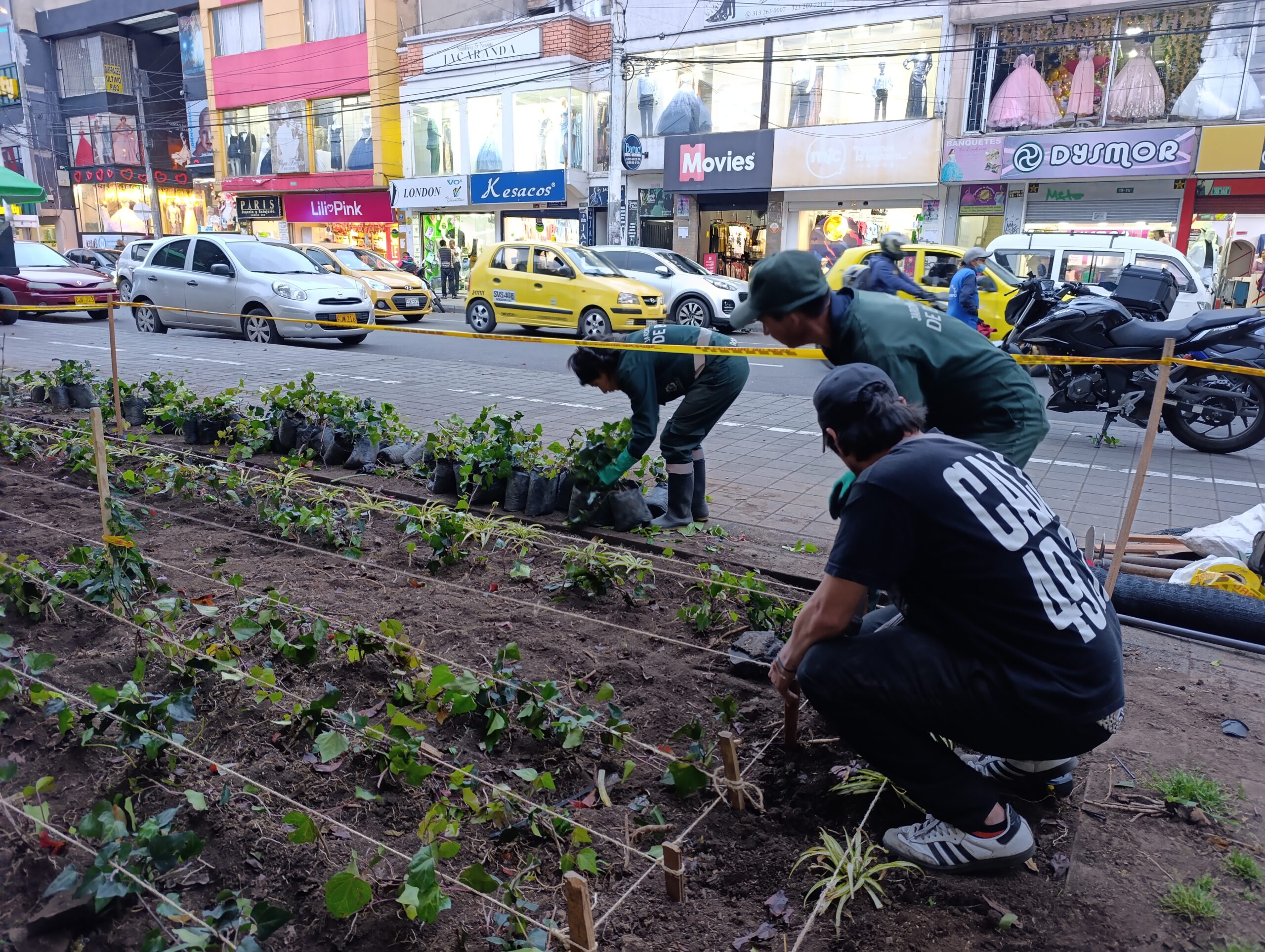 Historias del verde urbano: El renacer de los jardines de la plaza de mercado del Restrepo
