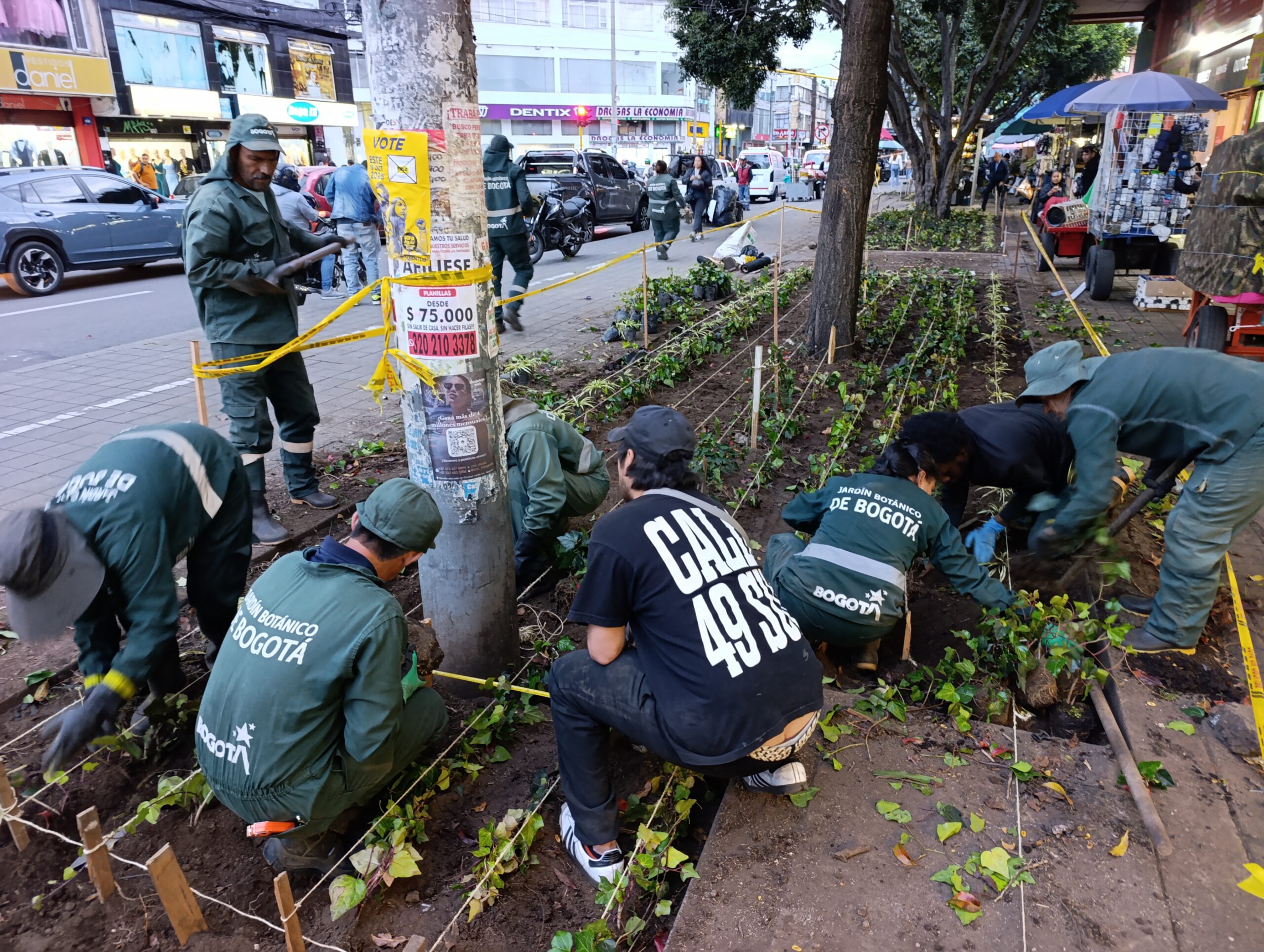 Historias del verde urbano: El renacer de los jardines de la plaza de mercado del Restrepo