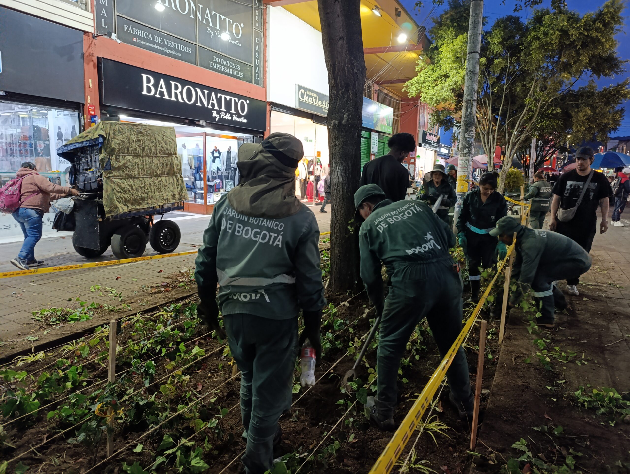 Historias del verde urbano: El renacer de los jardines de la plaza de mercado del Restrepo