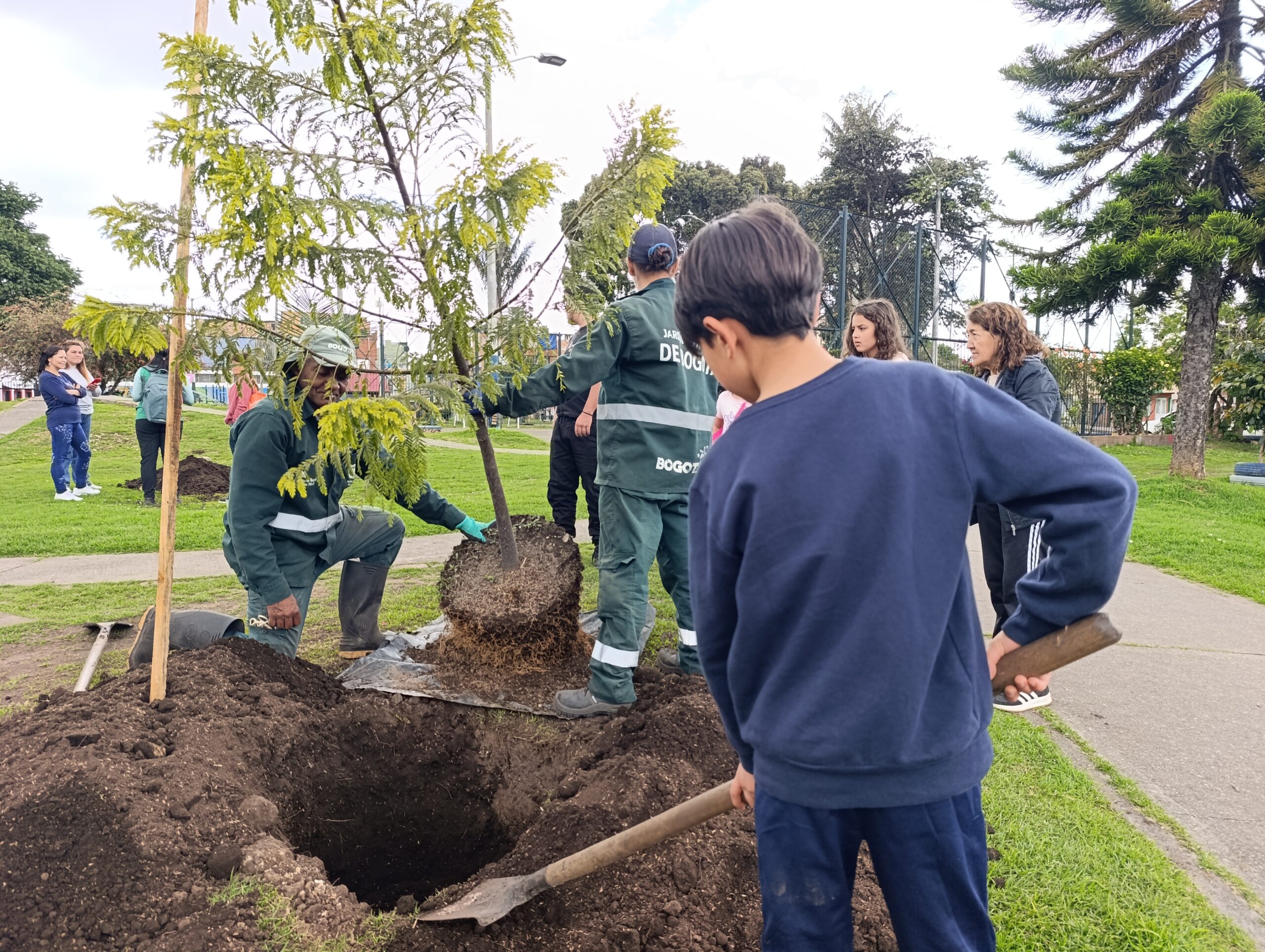 Historias del verde urbano: La plantación que pintó con más colores el parque La Almería Historias del verde urbano: La plantación que pintó con más colores el parque La Almería