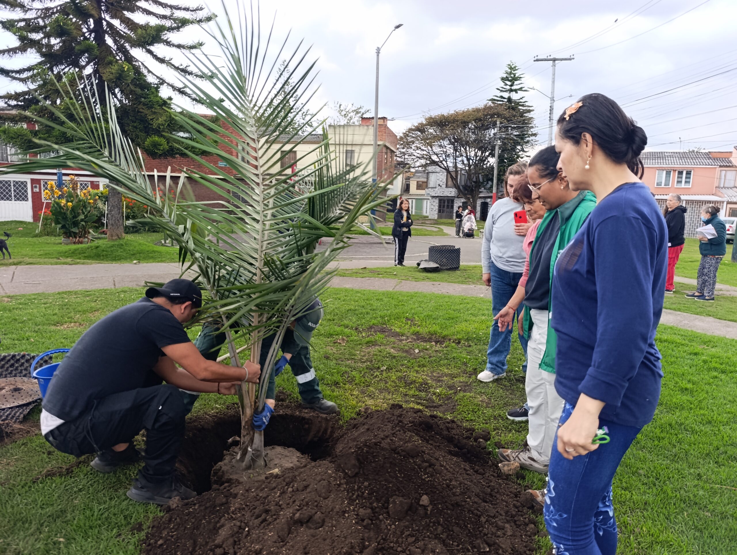 Historias del verde urbano: La plantación que pintó con más colores el parque La Almería Historias del verde urbano: La plantación que pintó con más colores el parque La Almería