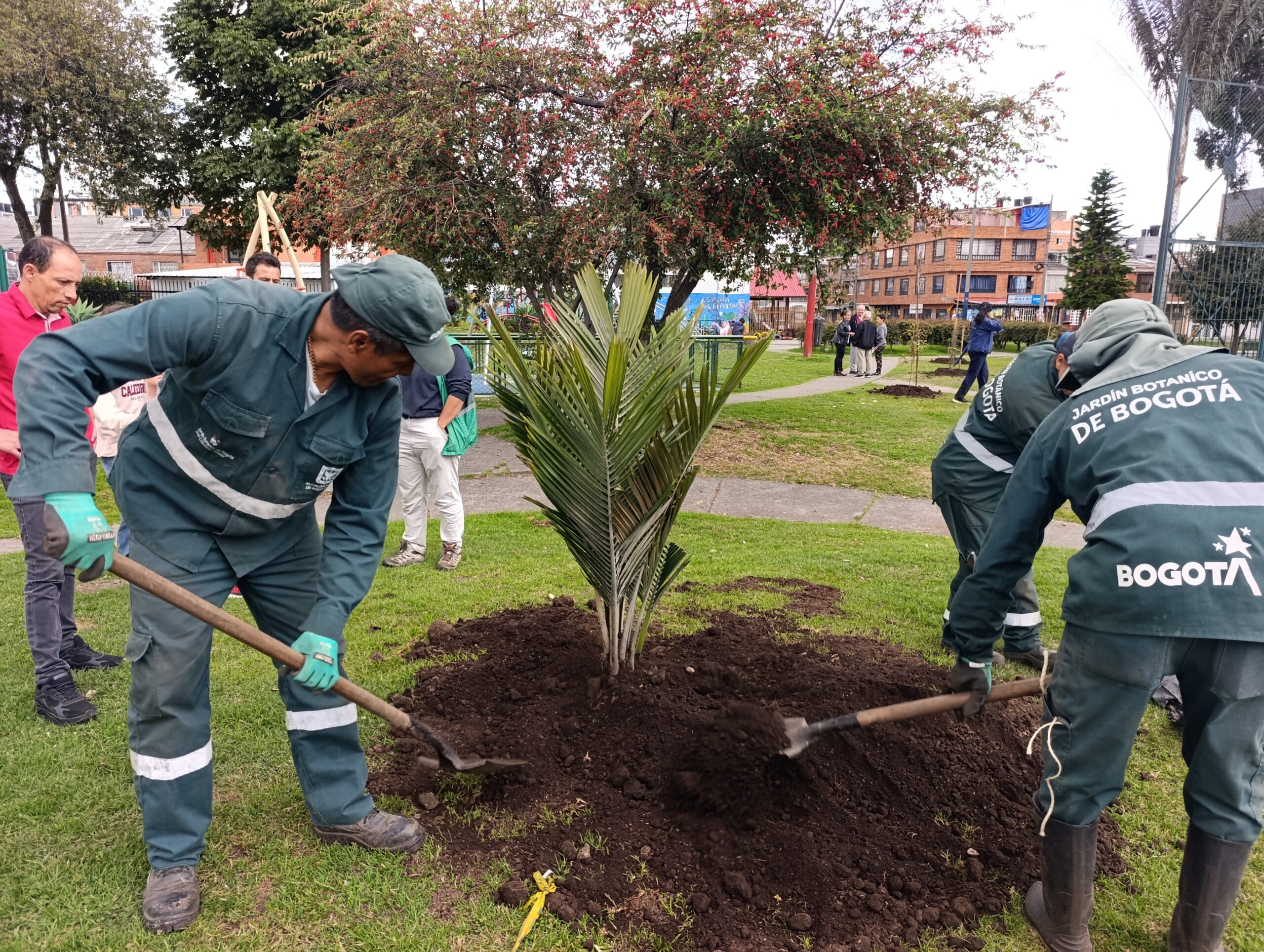 Historias del verde urbano: La plantación que pintó con más colores el parque La Almería Historias del verde urbano: La plantación que pintó con más colores el parque La Almería