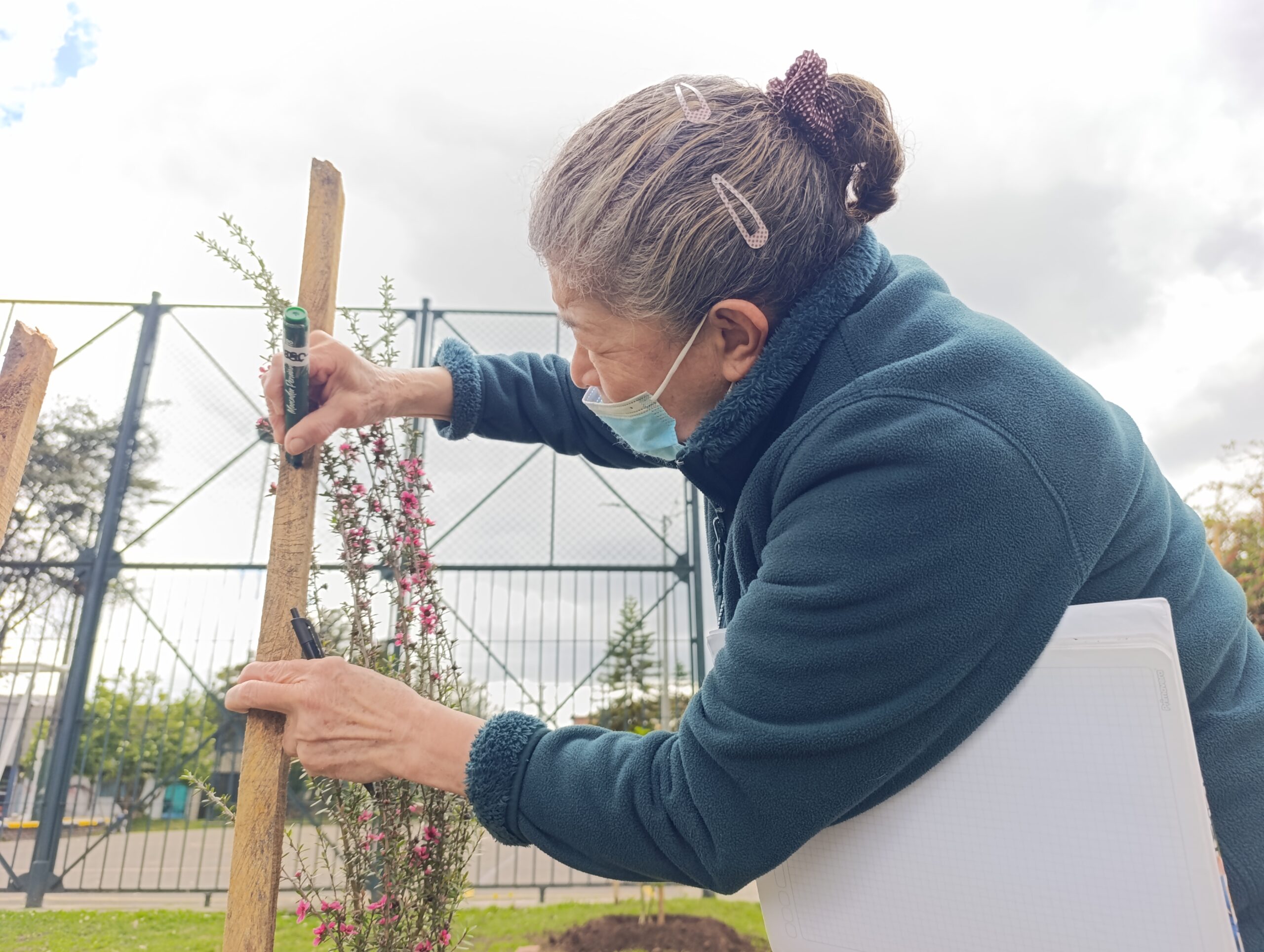 Historias del verde urbano: La plantación que pintó con más colores el parque La Almería Historias del verde urbano: La plantación que pintó con más colores el parque La Almería