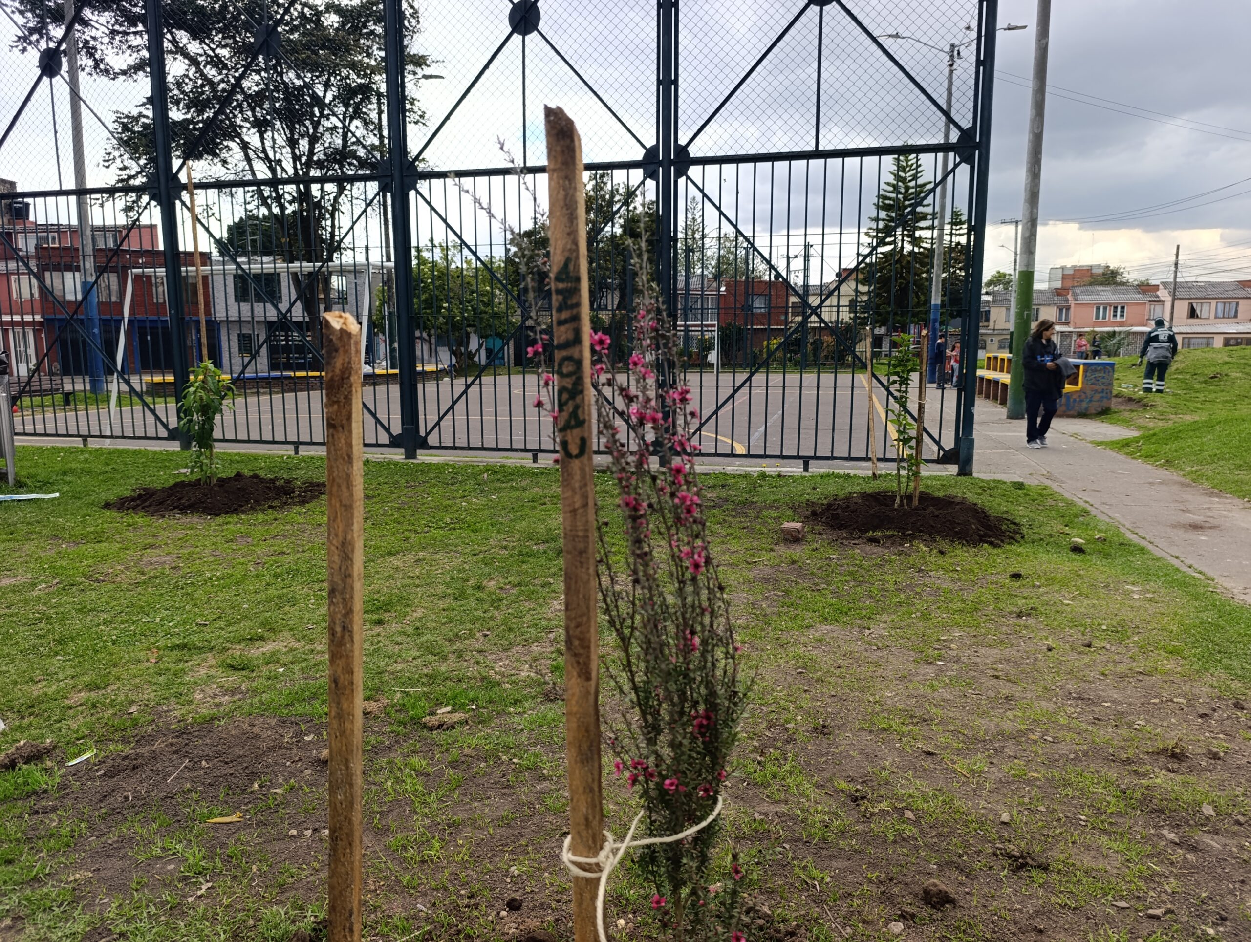 Historias del verde urbano: La plantación que pintó con más colores el parque La Almería Historias del verde urbano: La plantación que pintó con más colores el parque La Almería