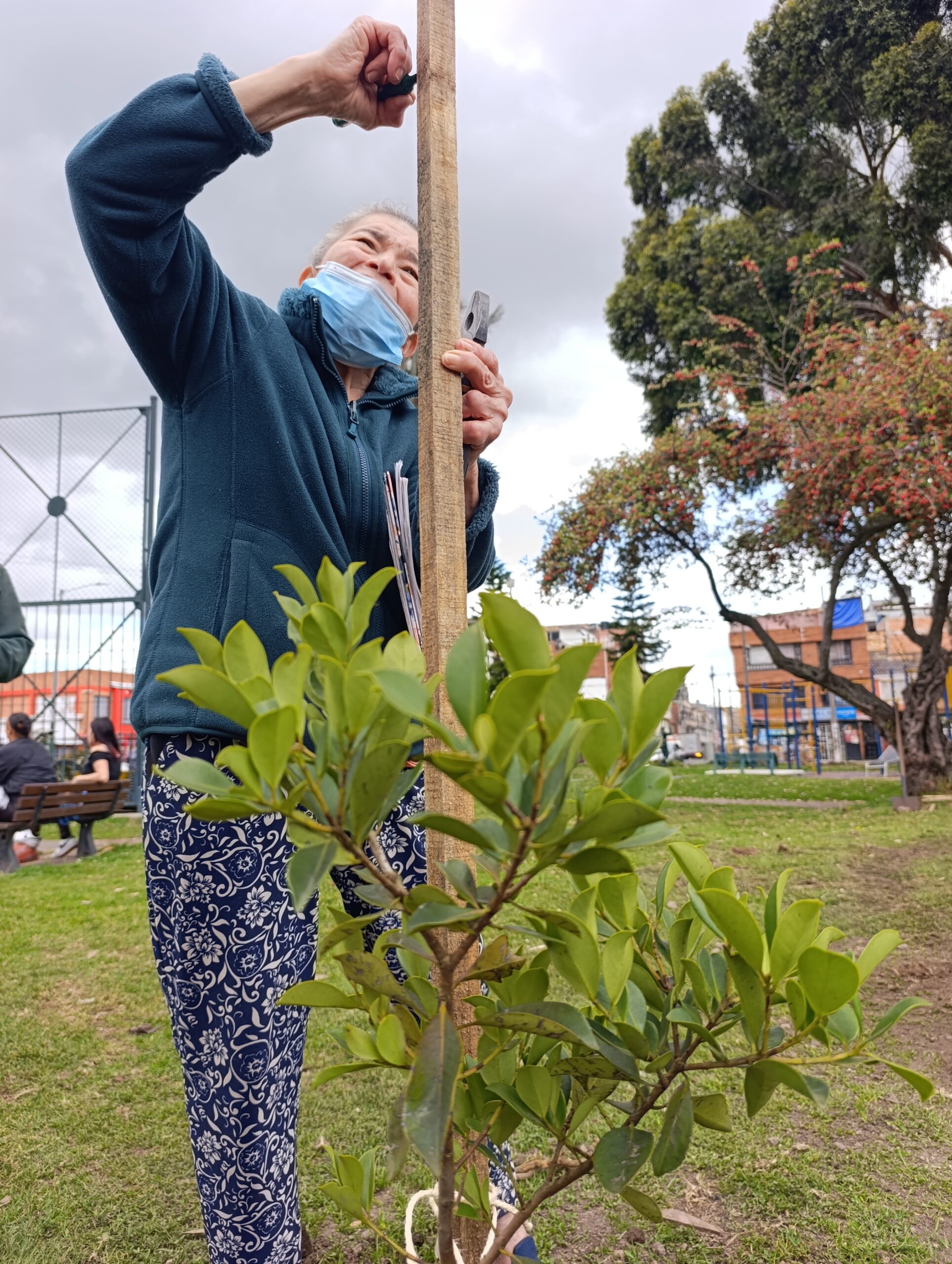 Historias del verde urbano: La plantación que pintó con más colores el parque La Almería Historias del verde urbano: La plantación que pintó con más colores el parque La Almería