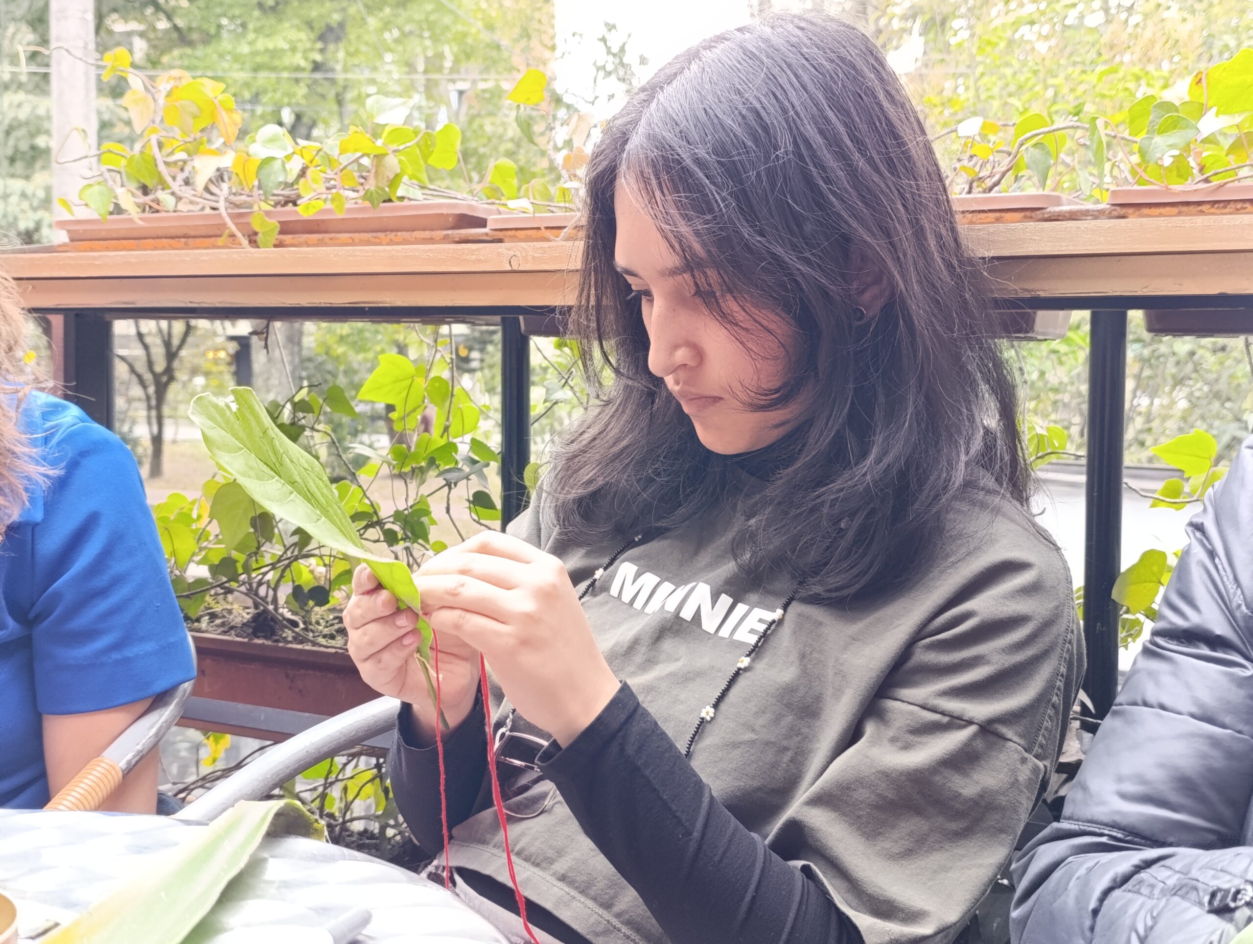 Historias del verde urbano: ¡Bordando en las hojas del Parkway!