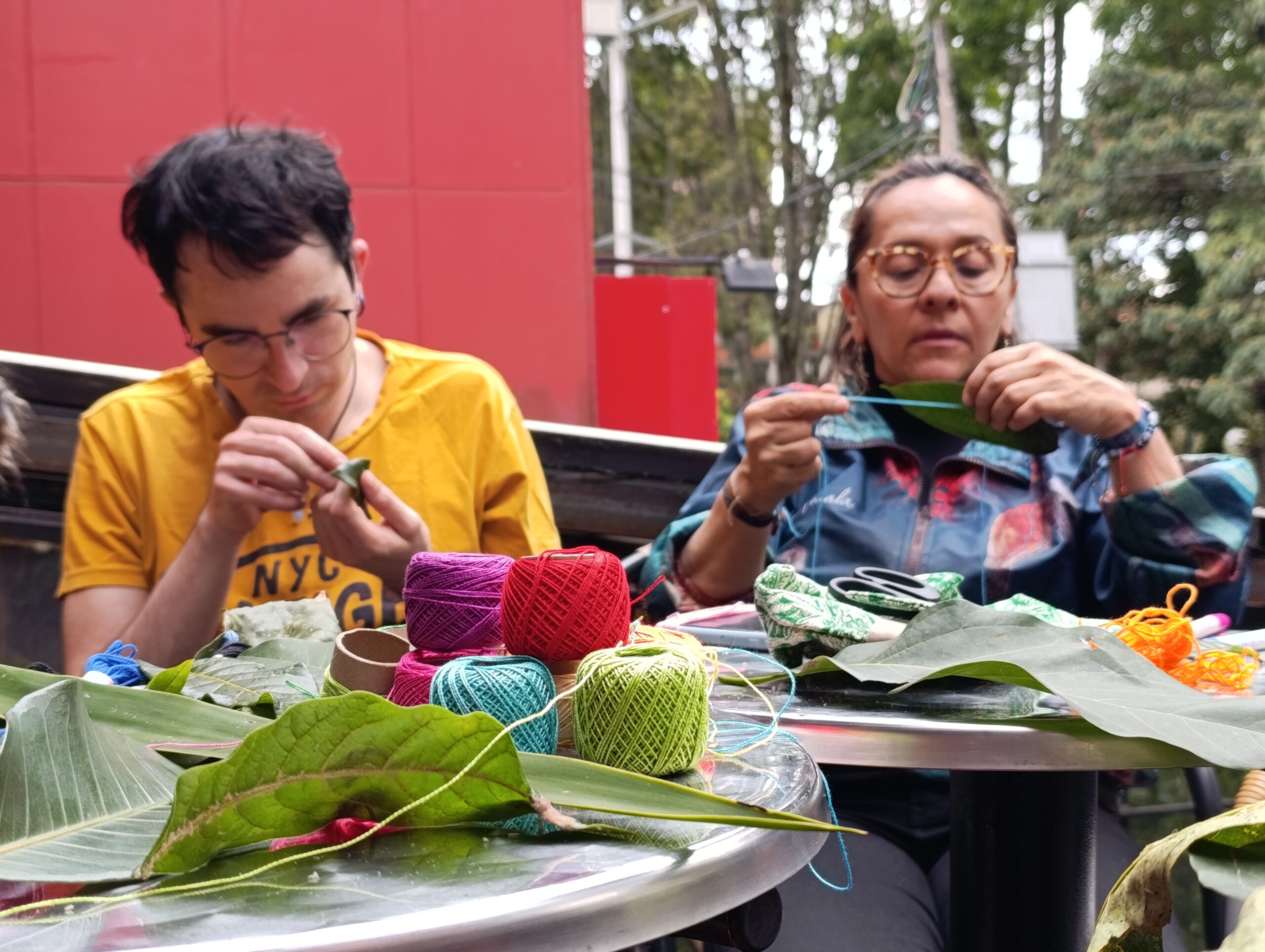 Historias del verde urbano: ¡Bordando en las hojas del Parkway!