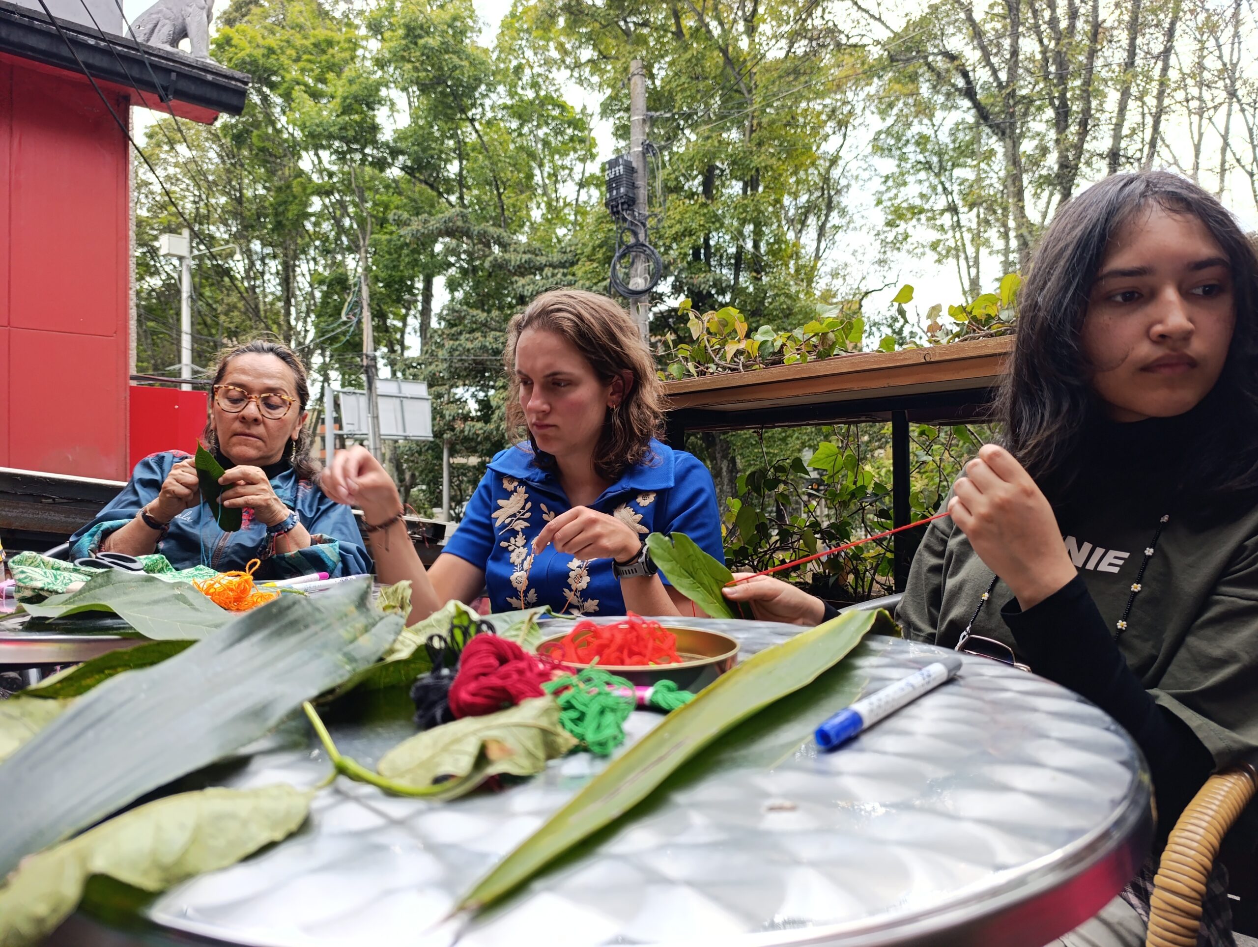 Historias del verde urbano: ¡Bordando en las hojas del Parkway!