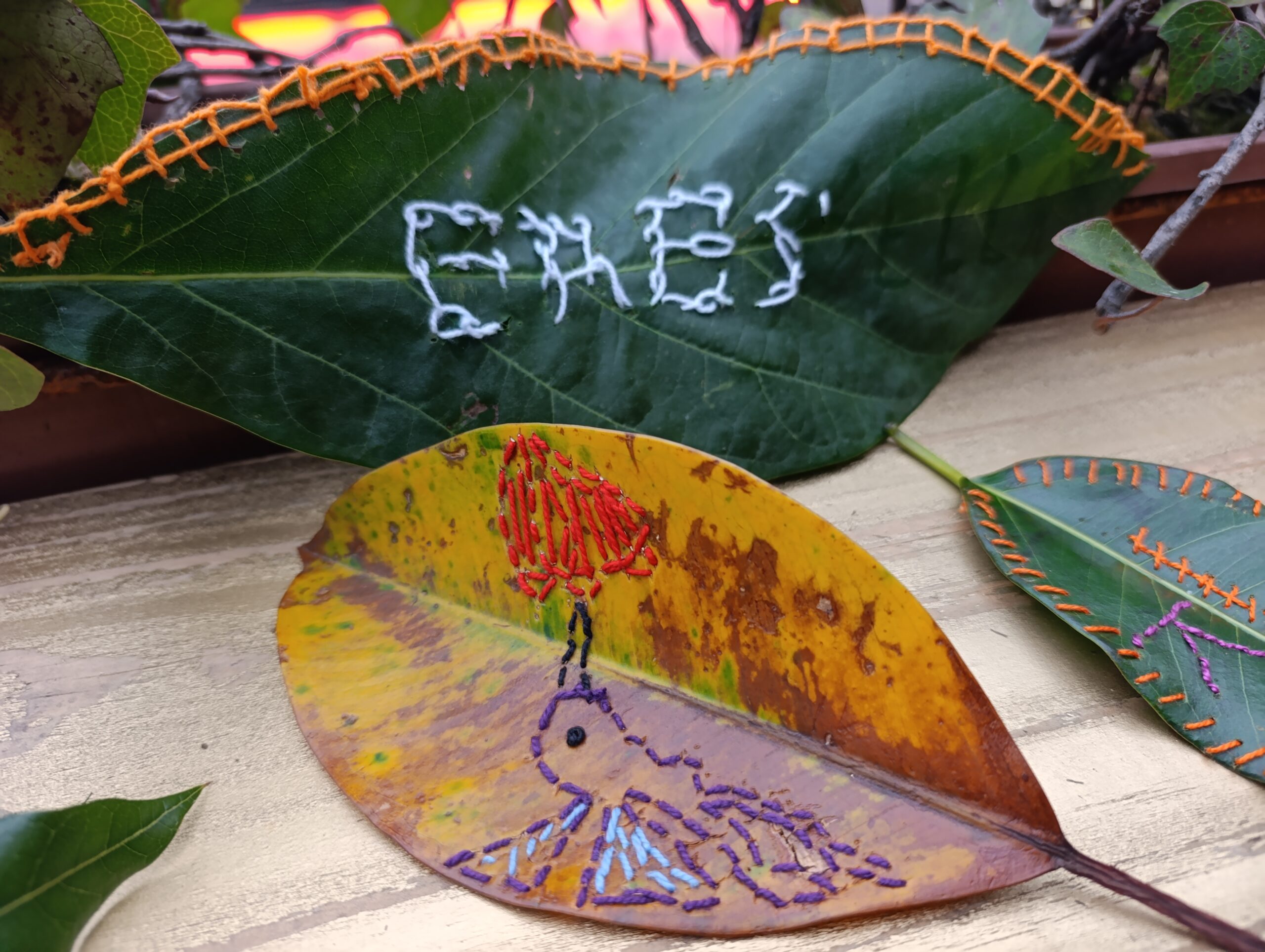 Historias del verde urbano: ¡Bordando en las hojas del Parkway!